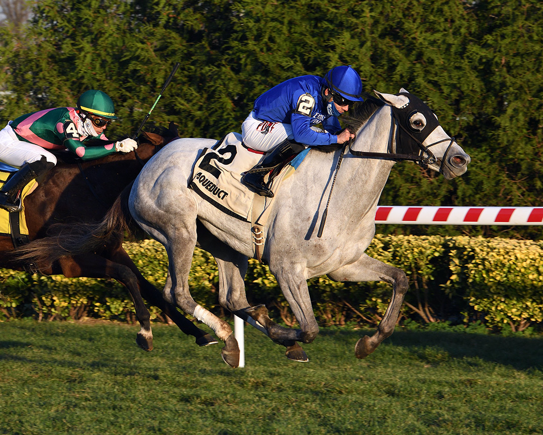 Lovestruck wins the 2020 Tepin Stakes at Aqueduct
