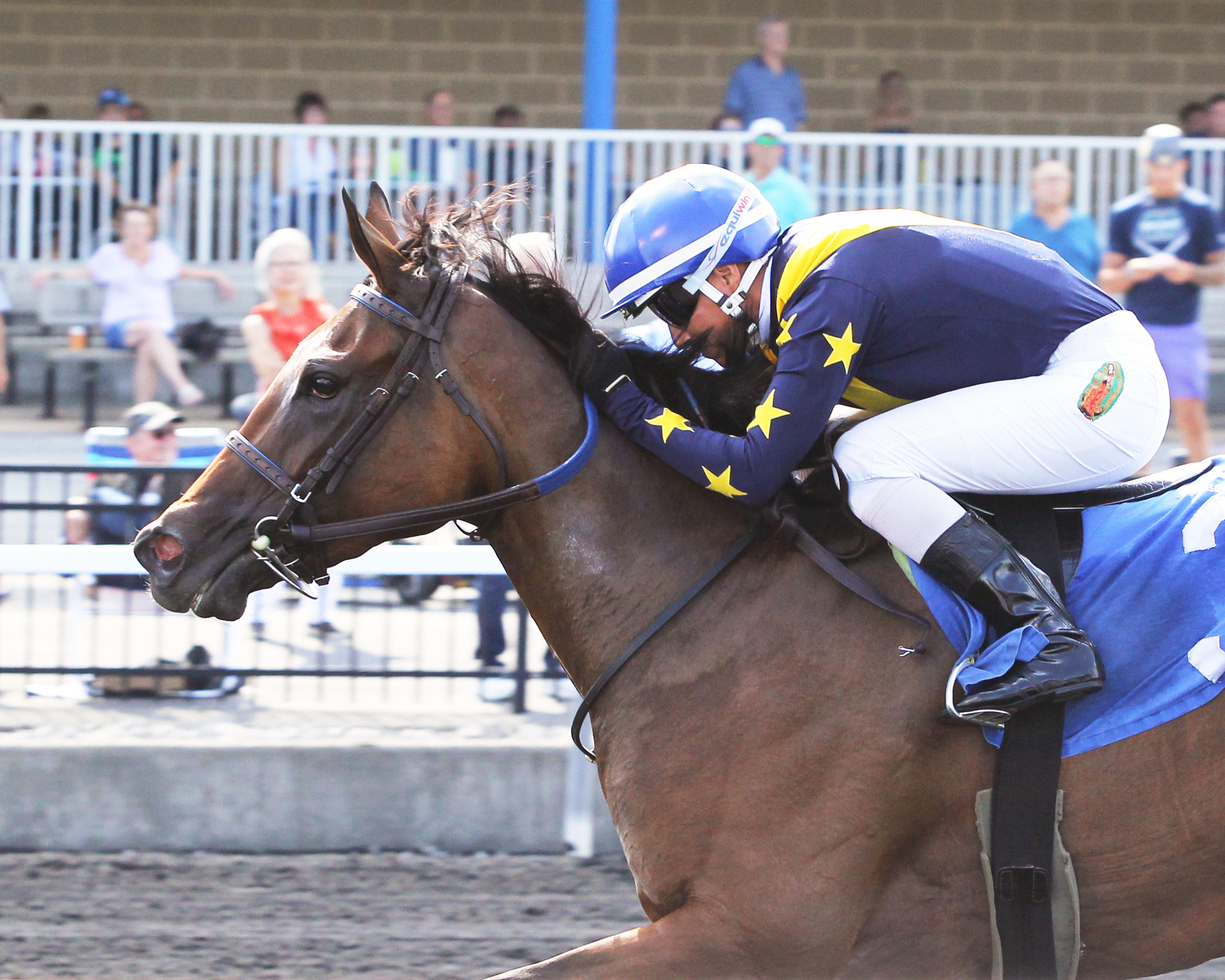 Loyalty, Lake Erie Stakes