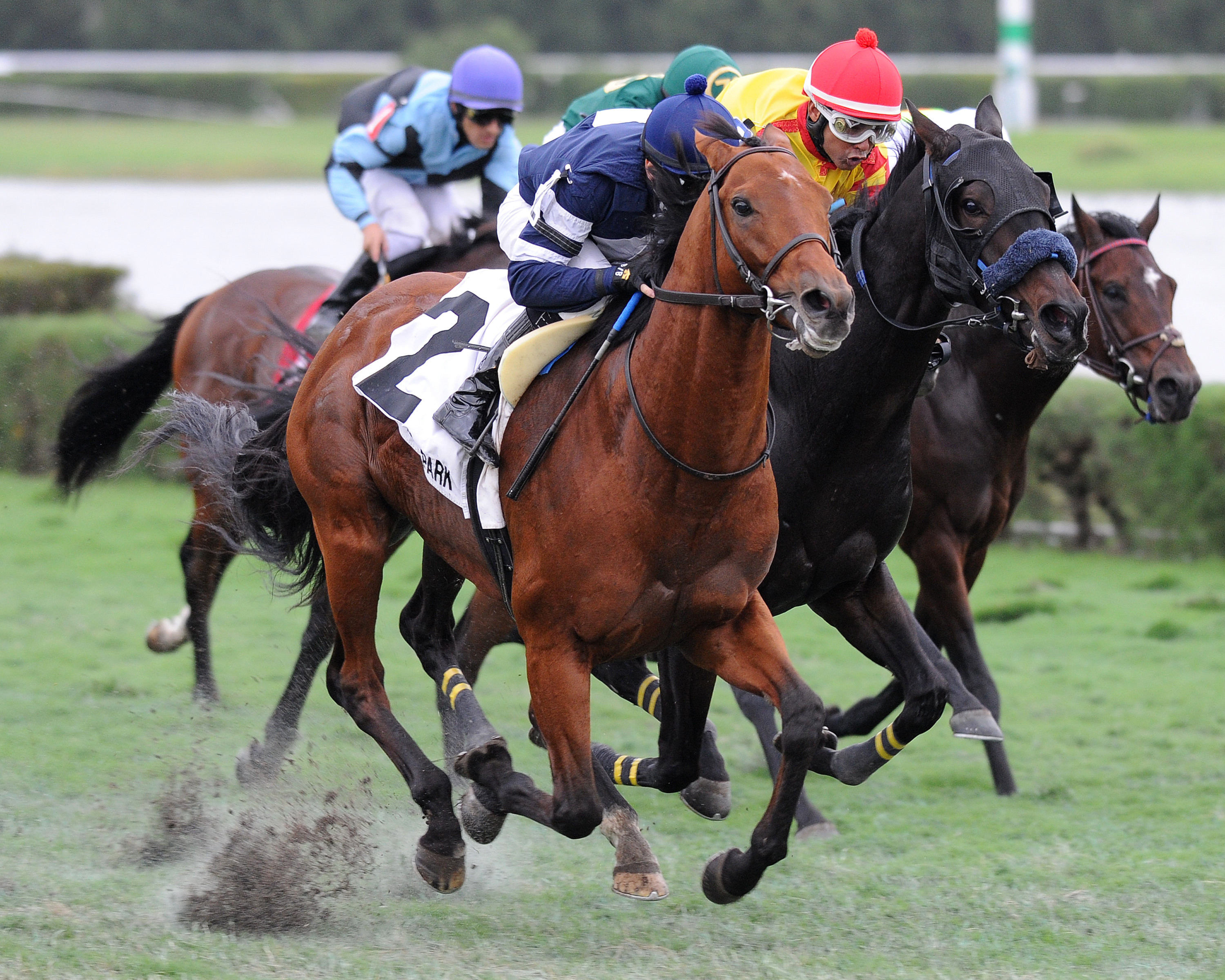 Lubash wins 2014 Tropical Turf