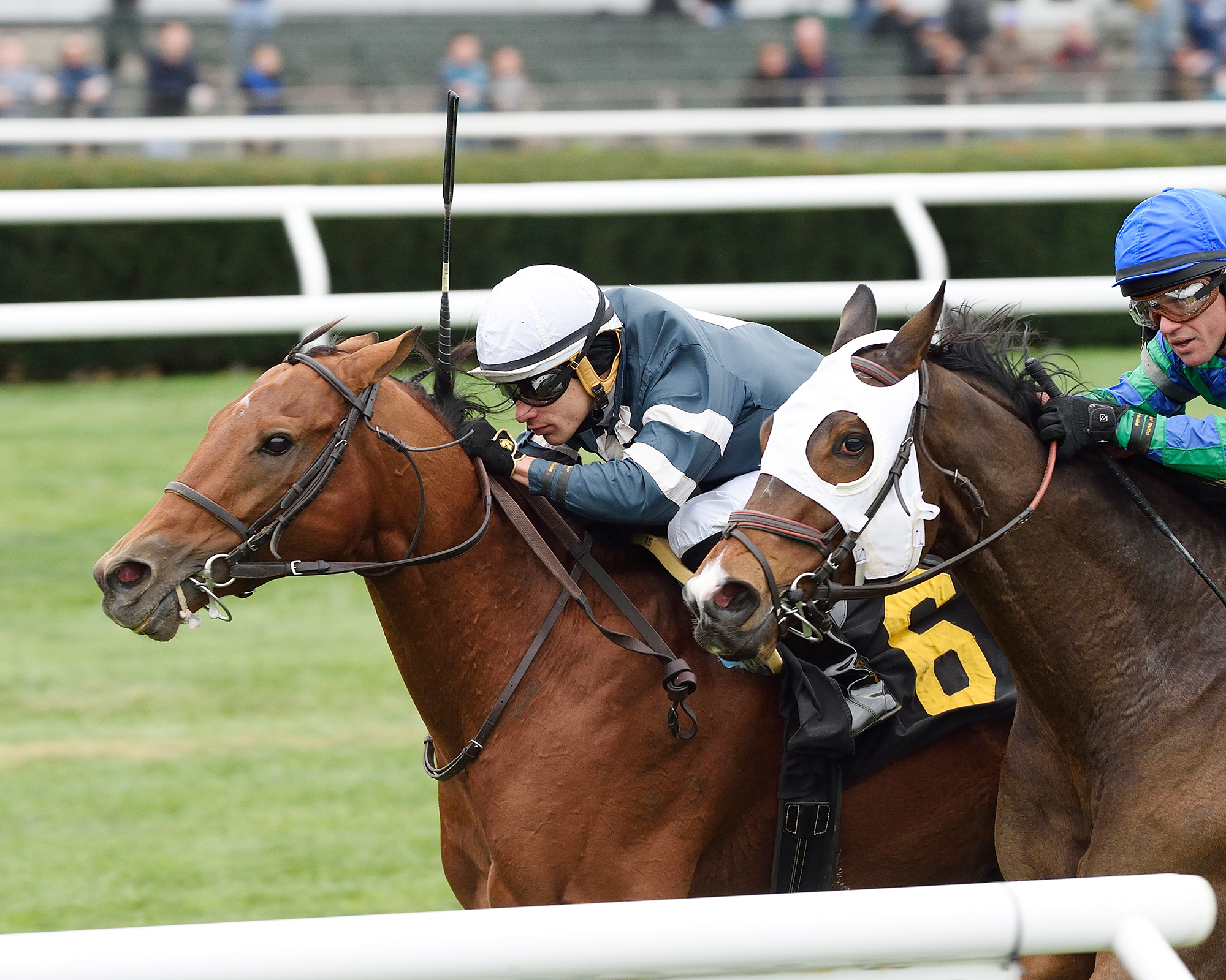 Lubash wins the Mohawk Stakes