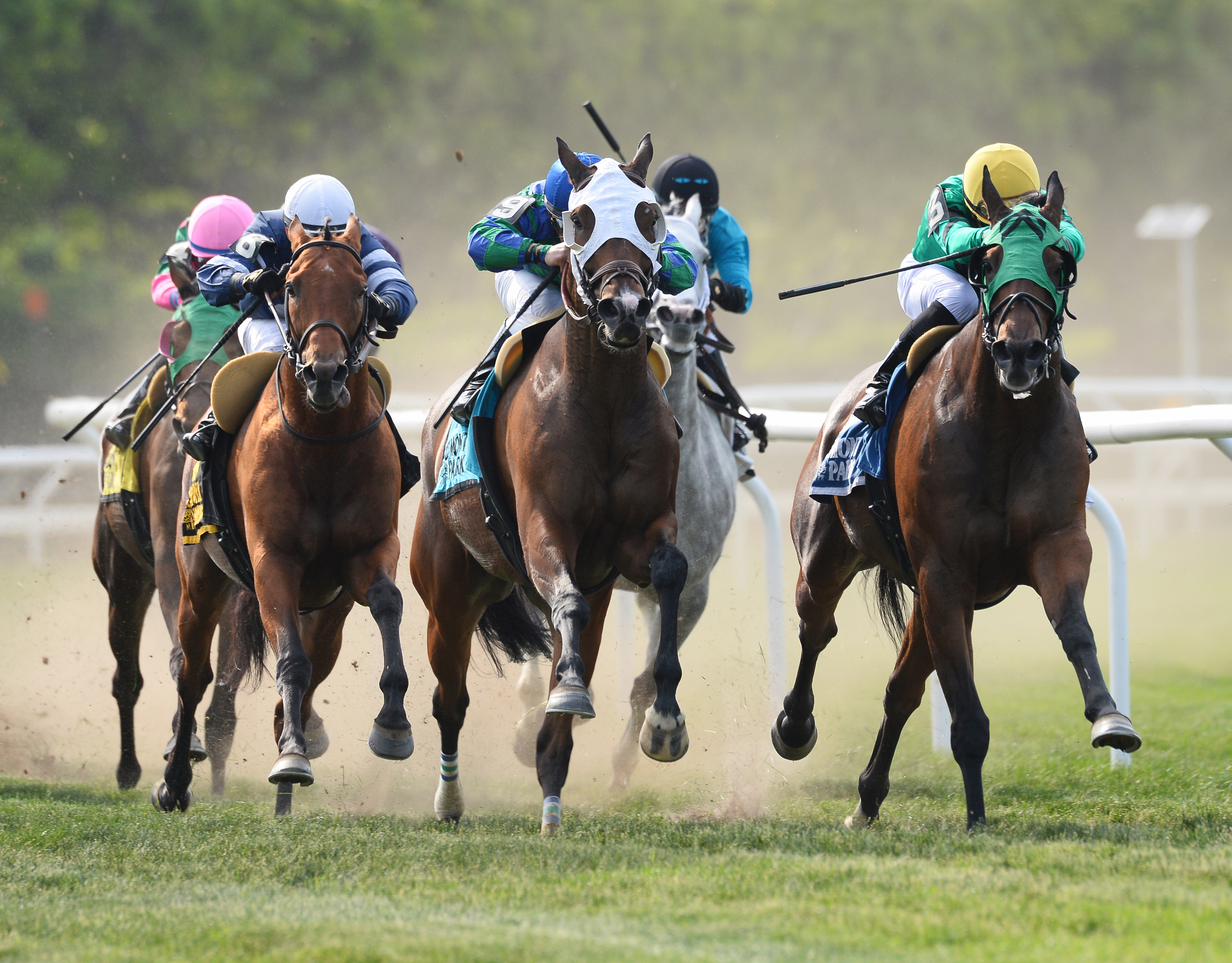 Kharafa in the Kingston Stakes