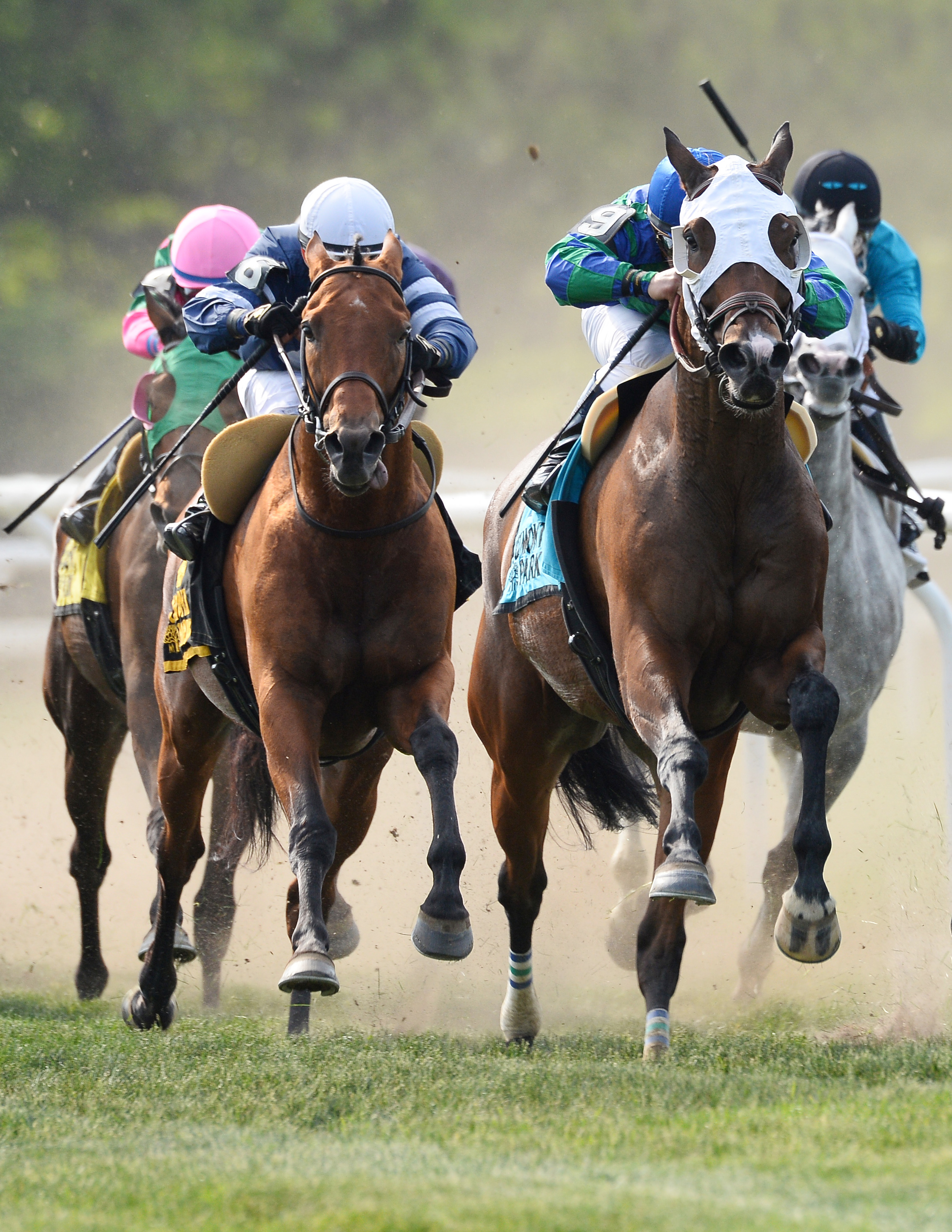 Lubash wins the Kingston
