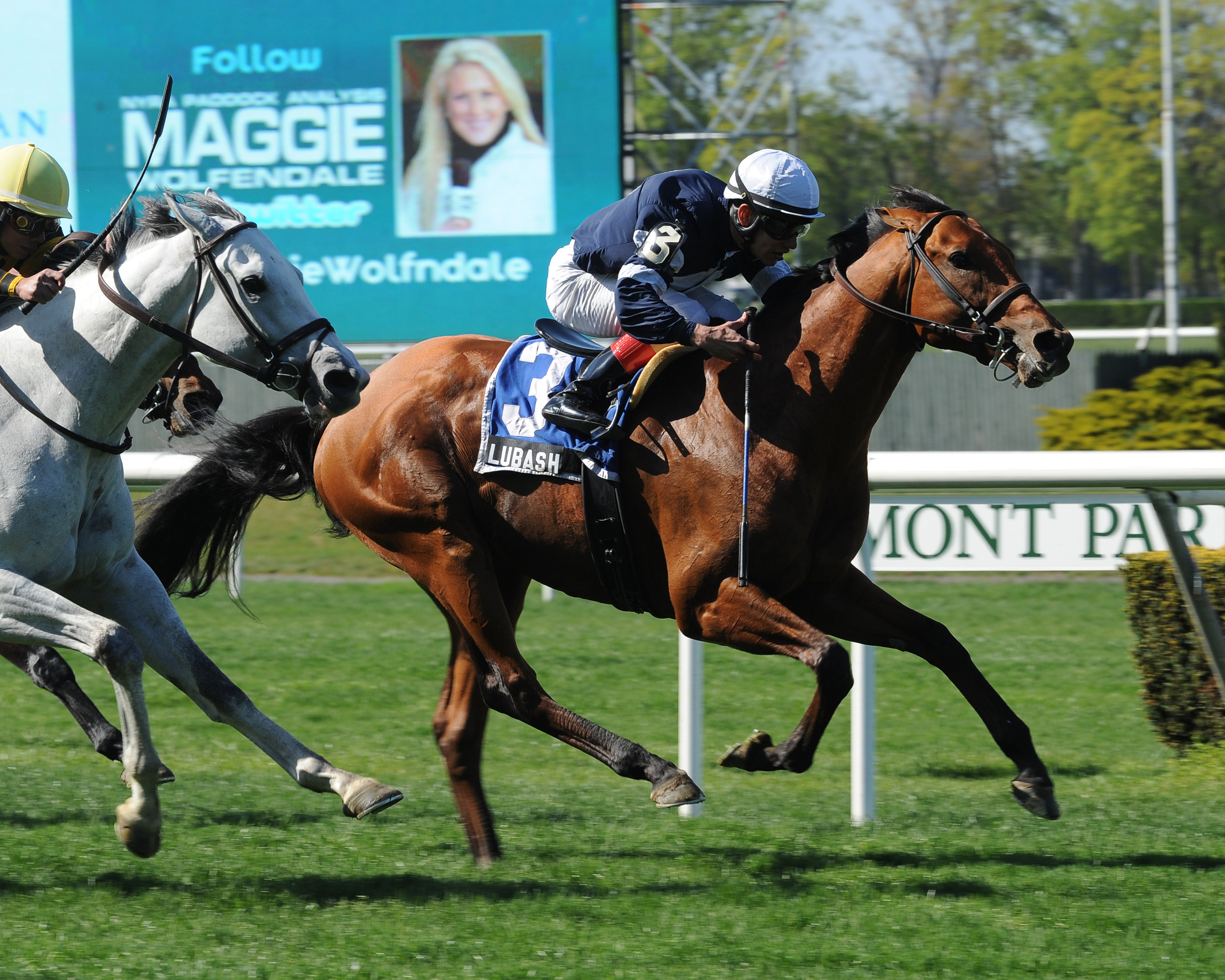 Lubash, Fort Marcy Stakes