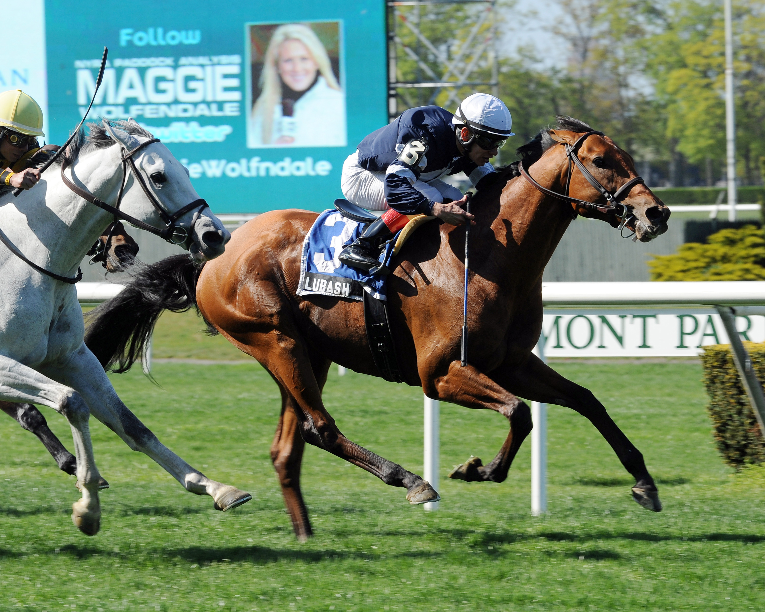 Lubash wins the 2013 Fort Marcy Stakes