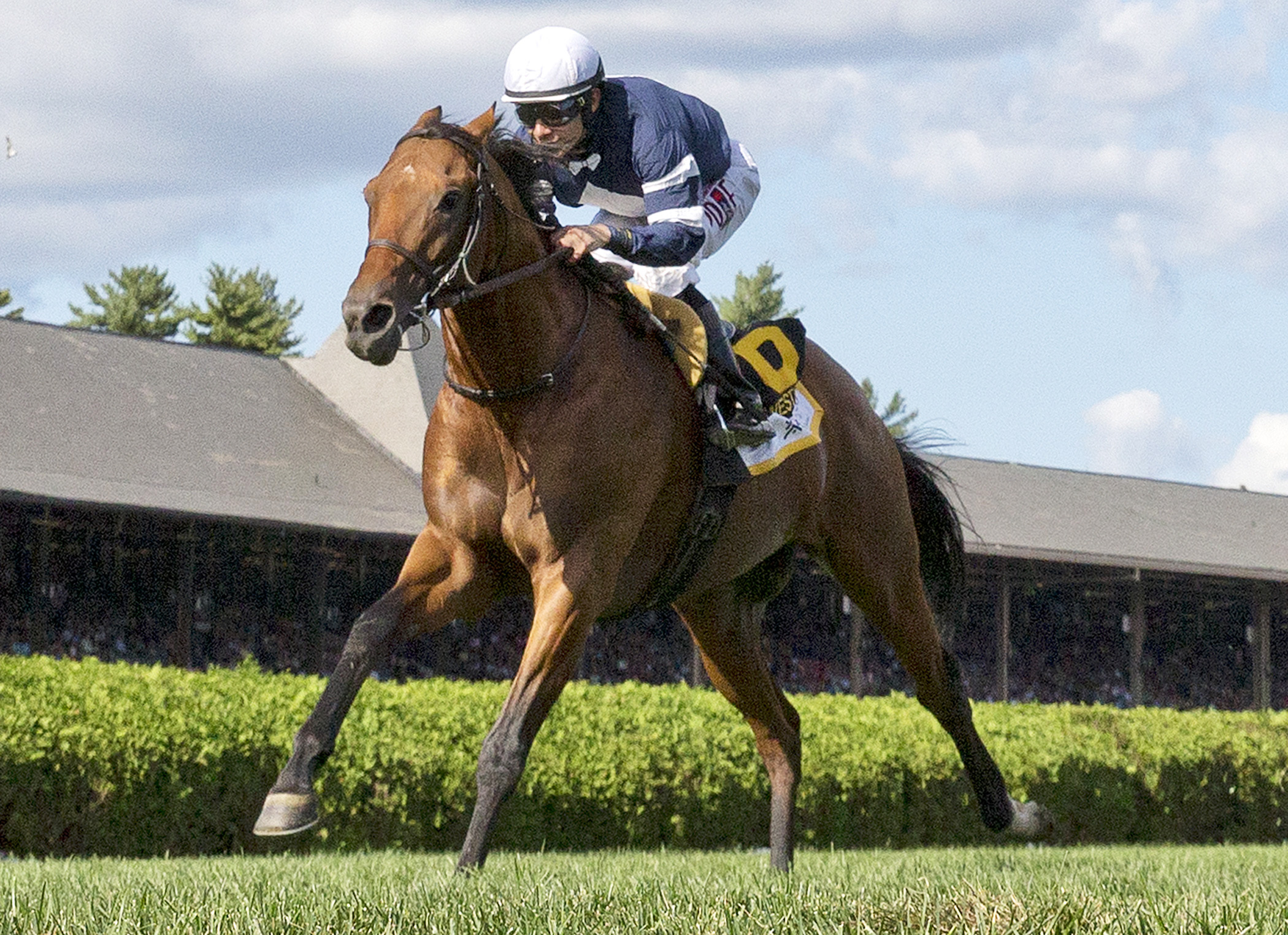 Lubash wins the West Point Stakes