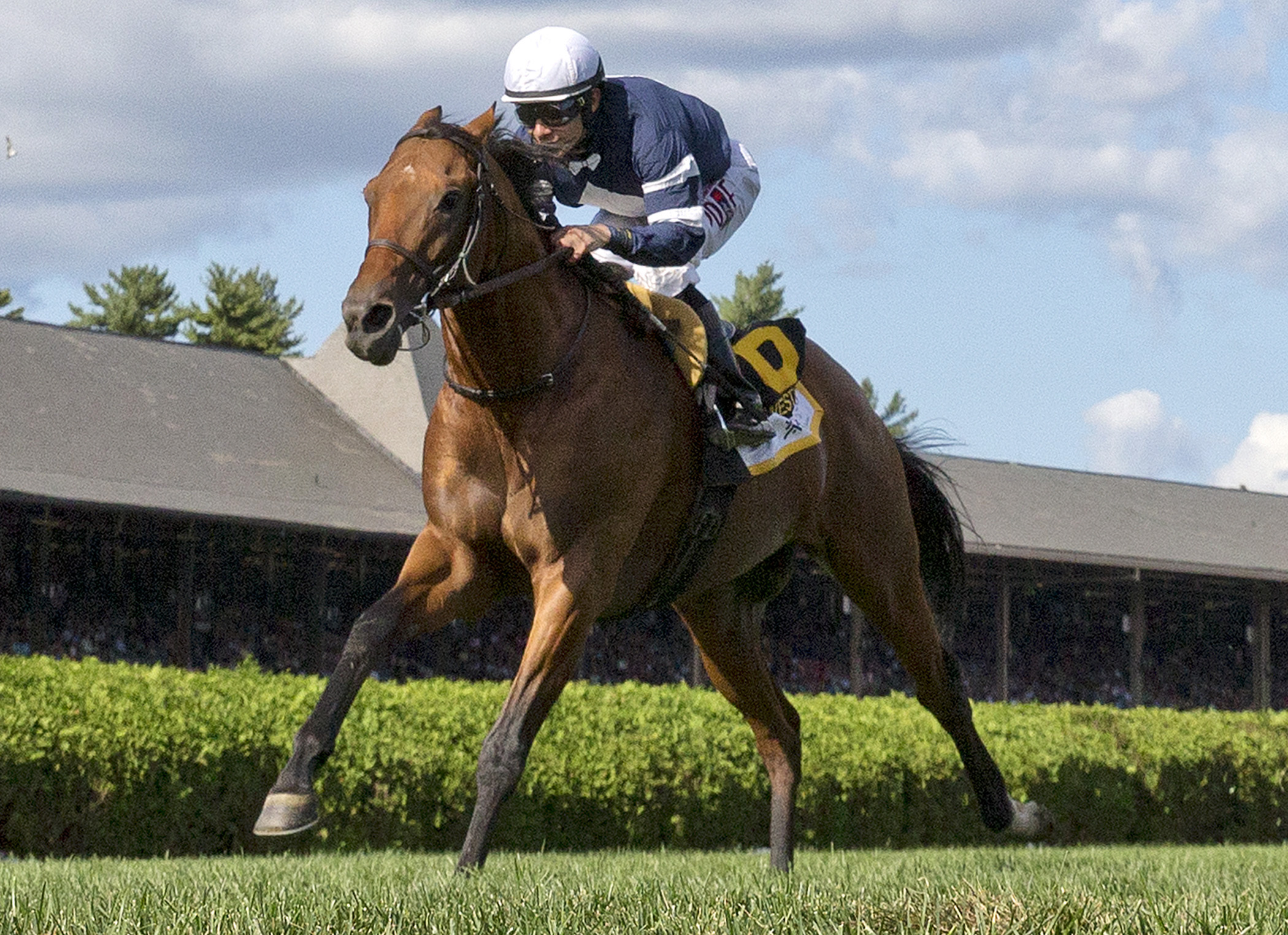 Lubash wins the 2015 West Point Stakes