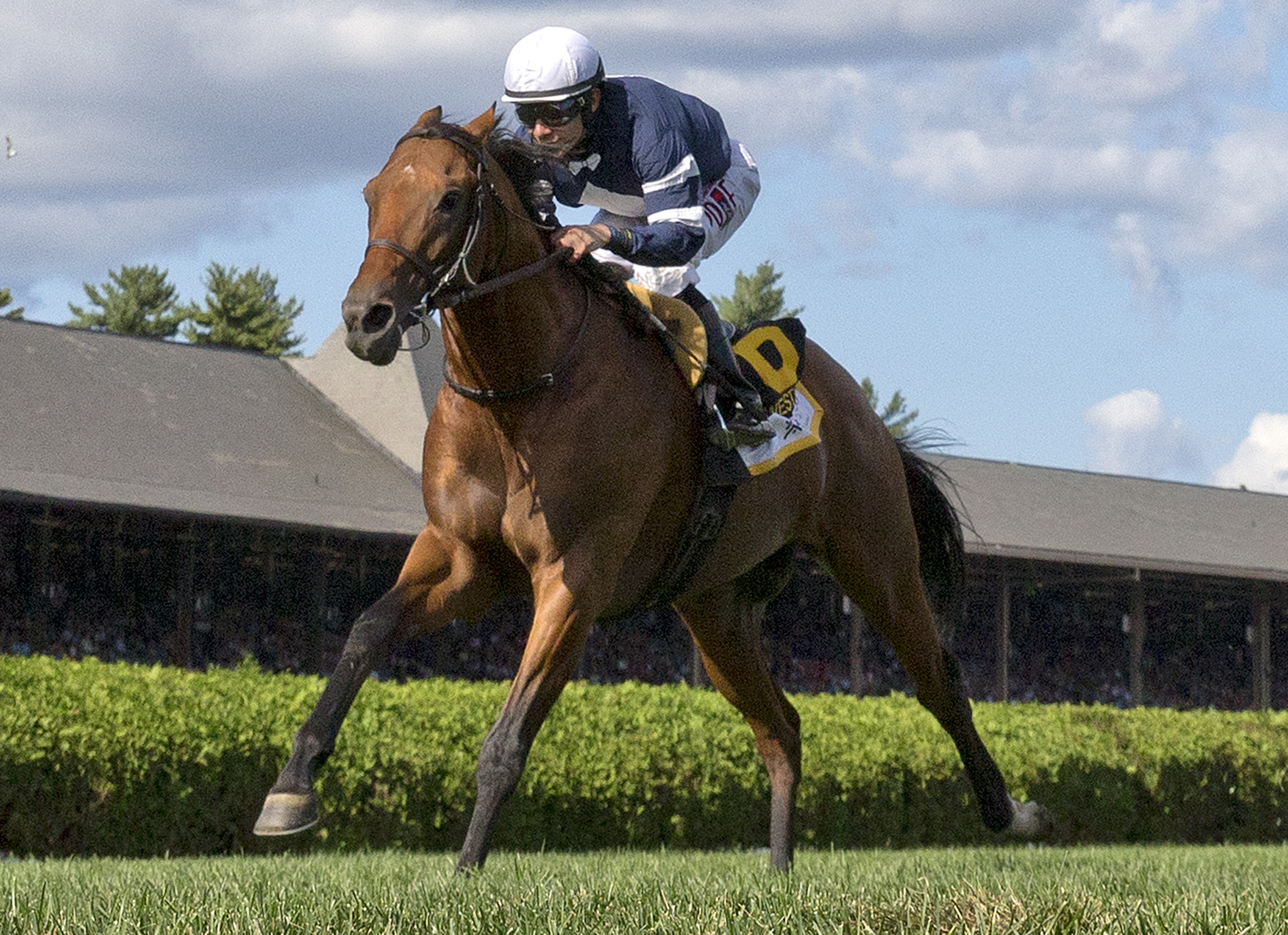 Lubash wins the 2015 West Point Stakes
