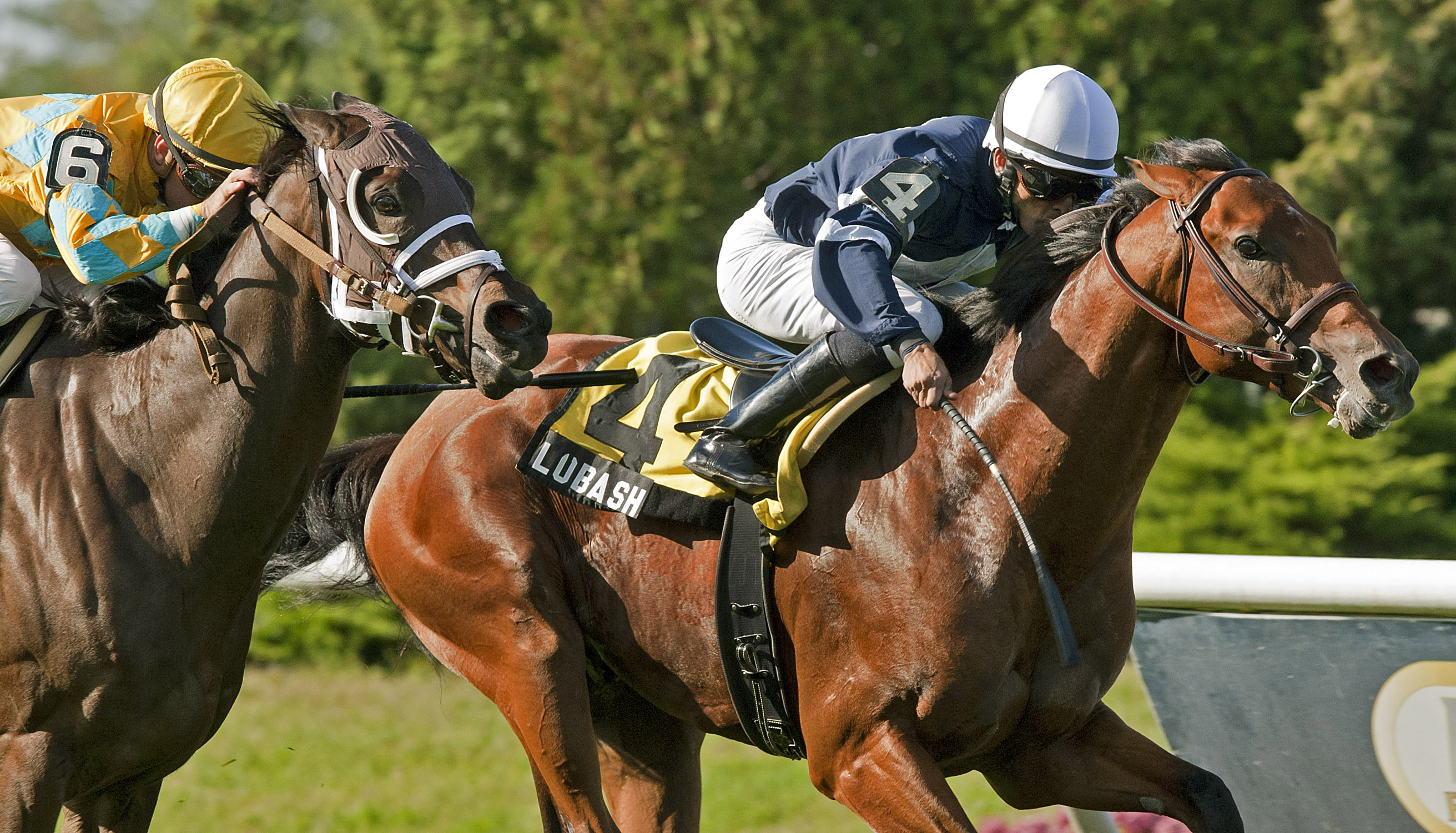 Lubash, Ashley T. Cole Stakes