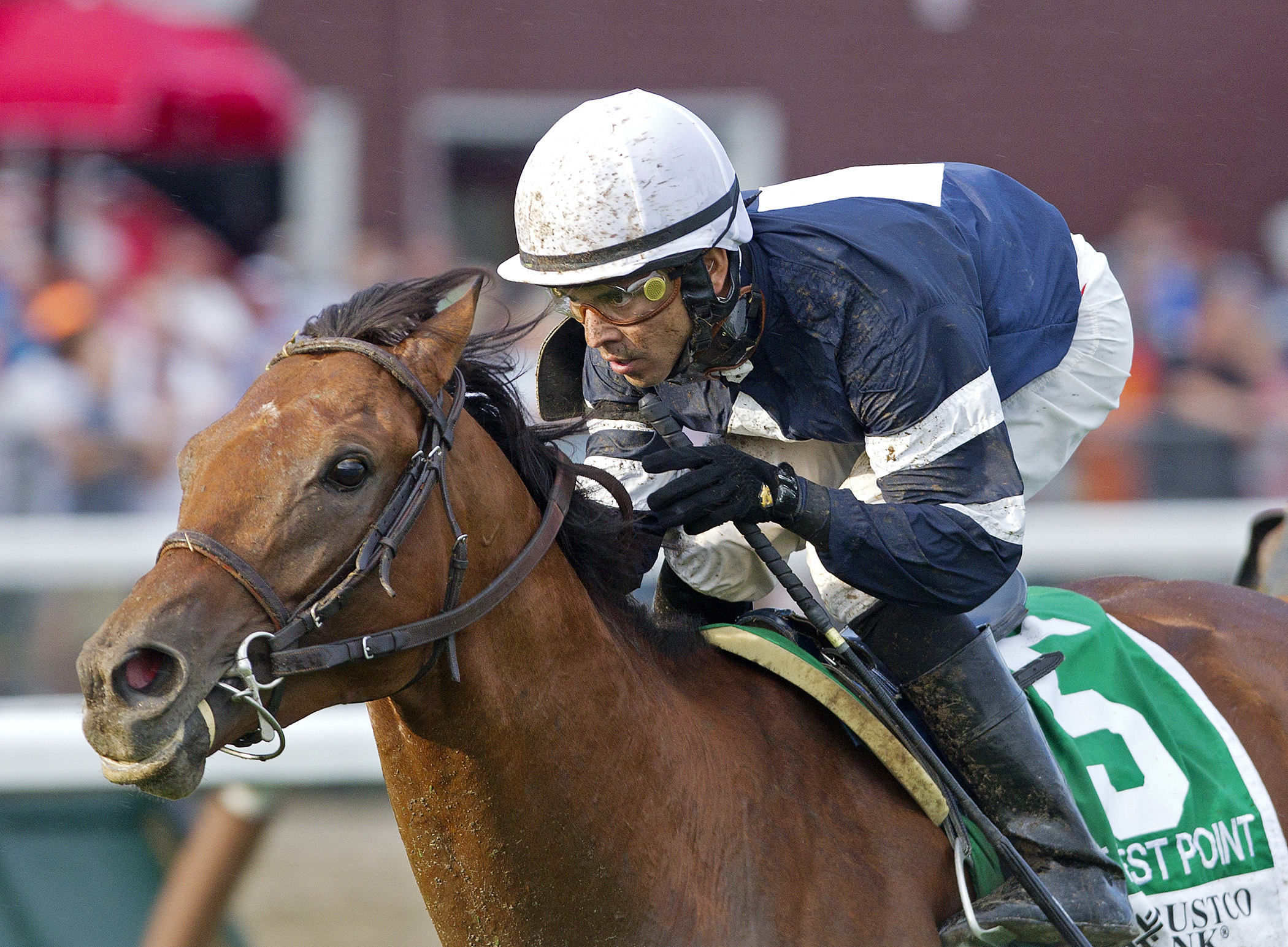 Lubash, West Point Stakes