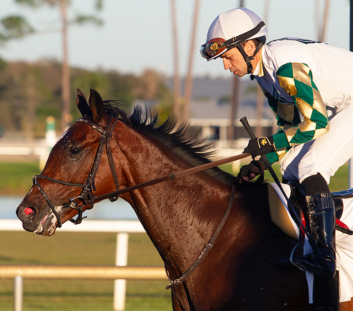 Luca Panici aboard Sole Volante after the Sam F. Davis Stakes