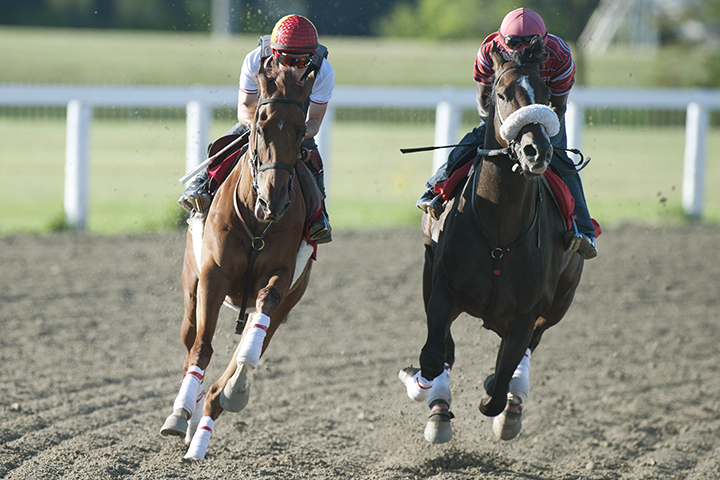 Lucas n' Lori trains with Flashymeister at Woodbine Racetrack on Aug. 15