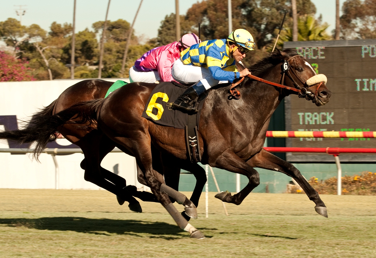 Lucayan, Hollywood Turf Cup