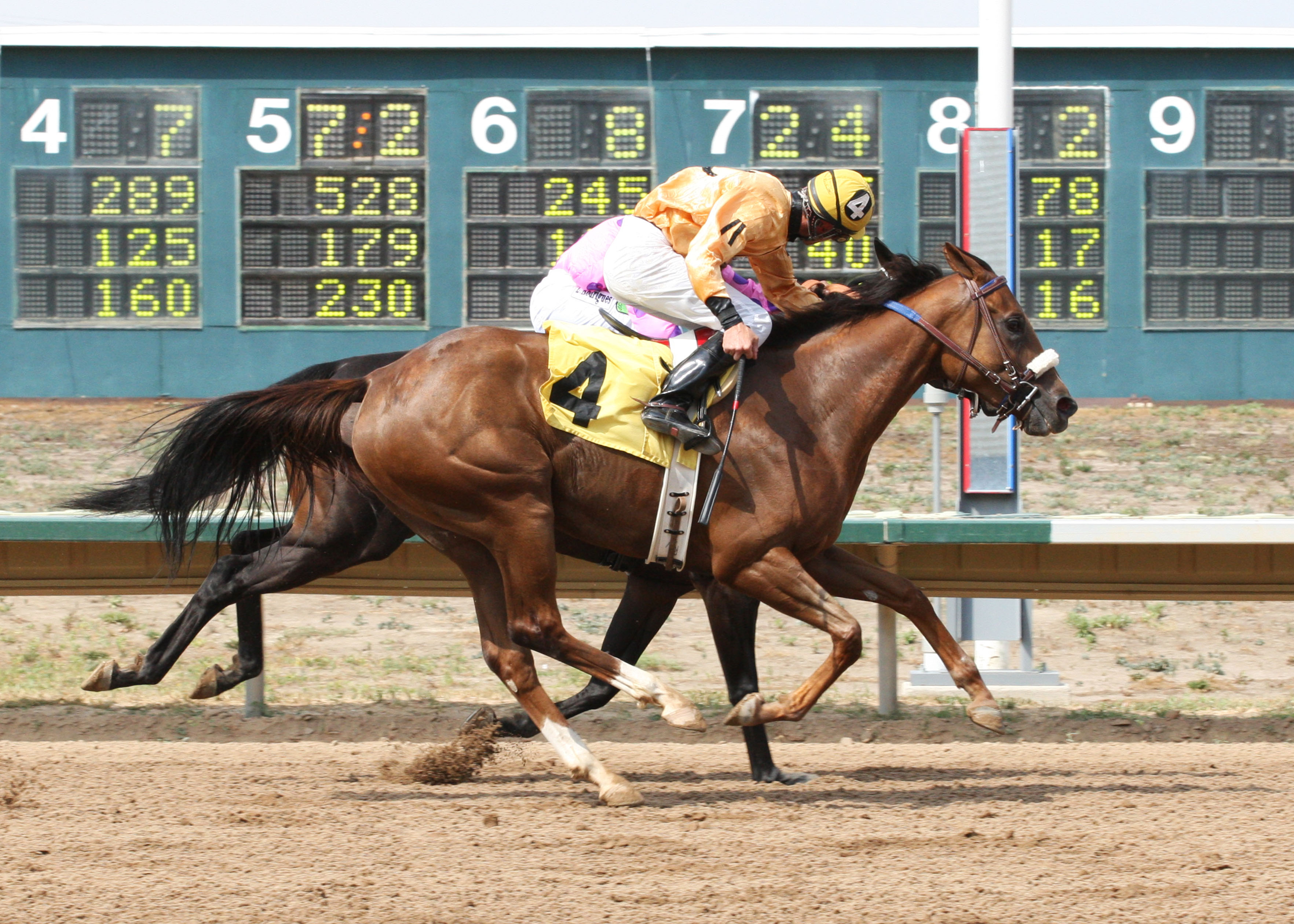 Lucci's Prize 7-27-2013