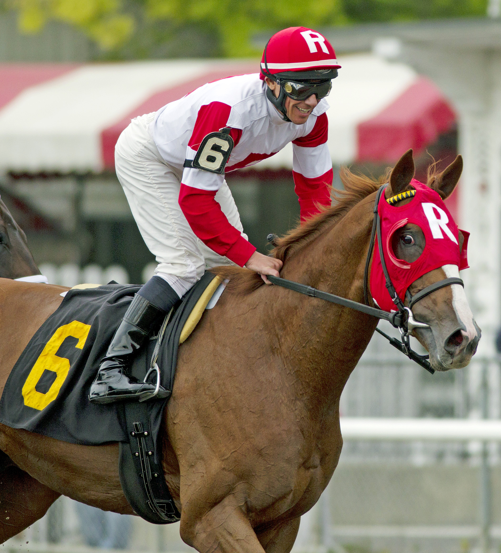 Luck of the Kitten finishes second in a maiden