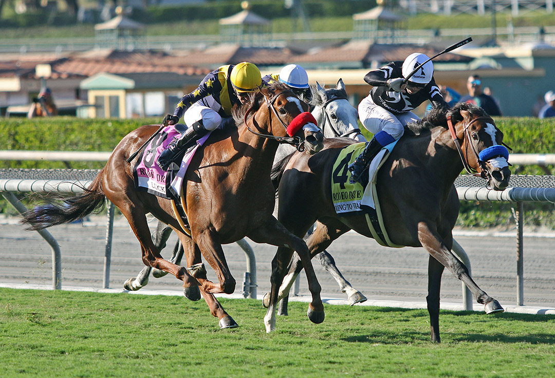 Luck (left) finishes second to Going to Vegas (right) in the 2021 Rodeo Drive Stakes at Santa Anita