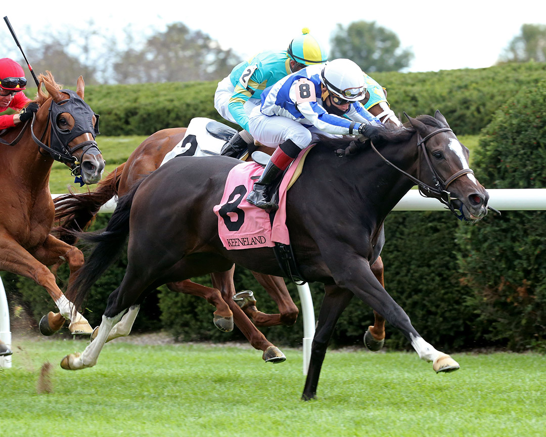 Luck Money wins an Oct. 2 allowance at Keeneland