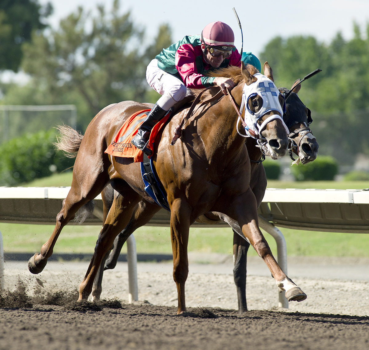 Luck-s Royal Flush wins the 2018 Everett Nevin Stakes