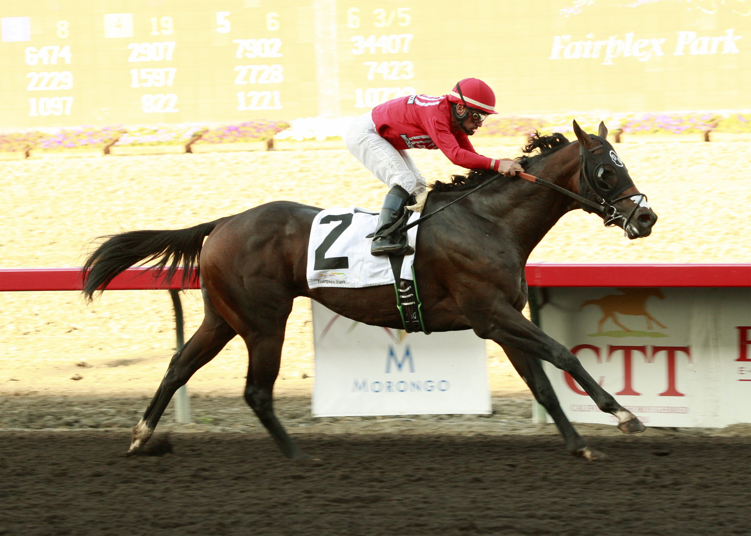 Luckarack 9-11-2011