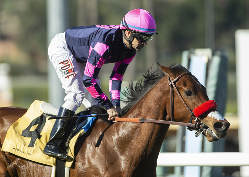 Lucky Girl wins Lady of Shamrock 1-30-2022