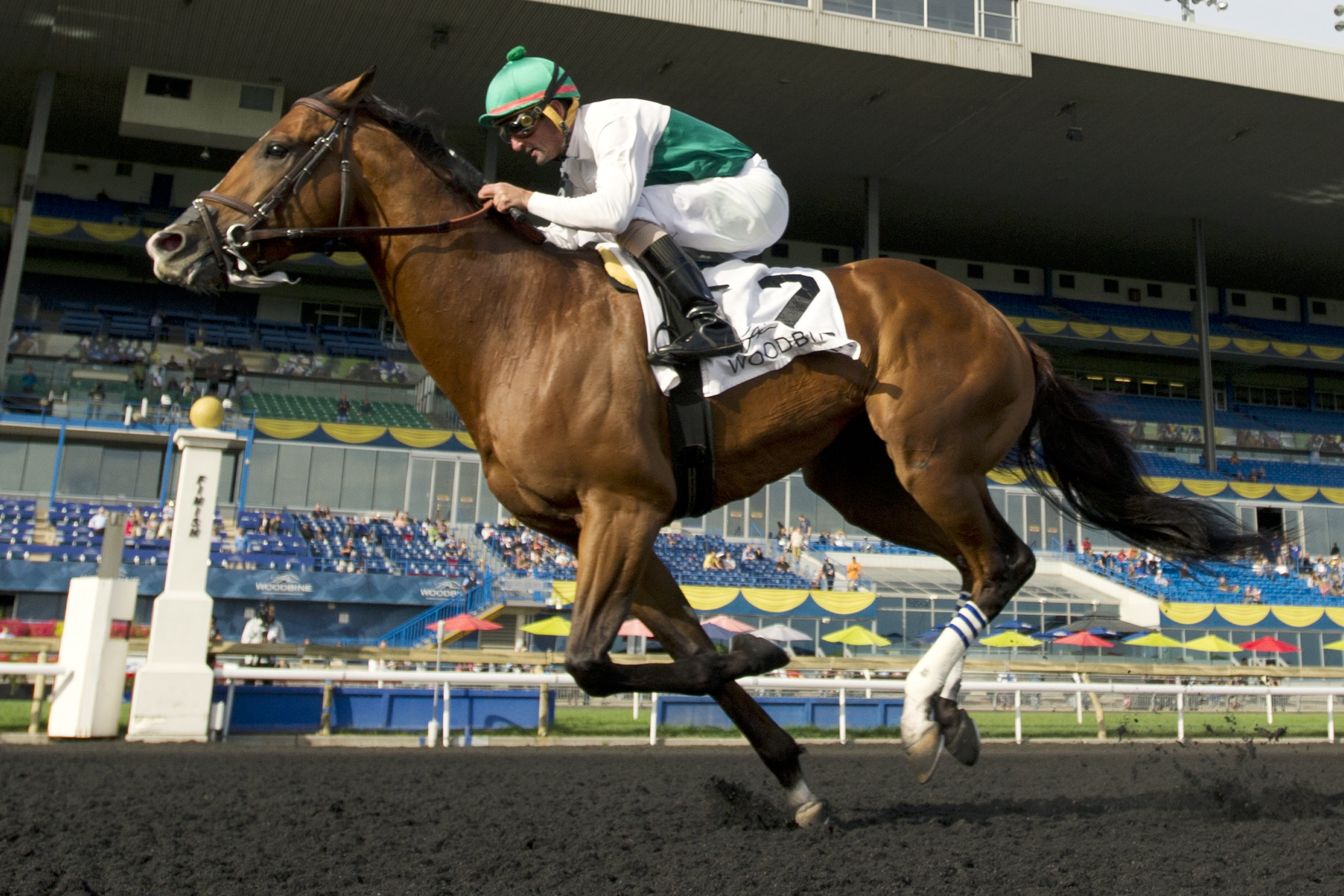 Lucky Lindy wins the Ontario Derby