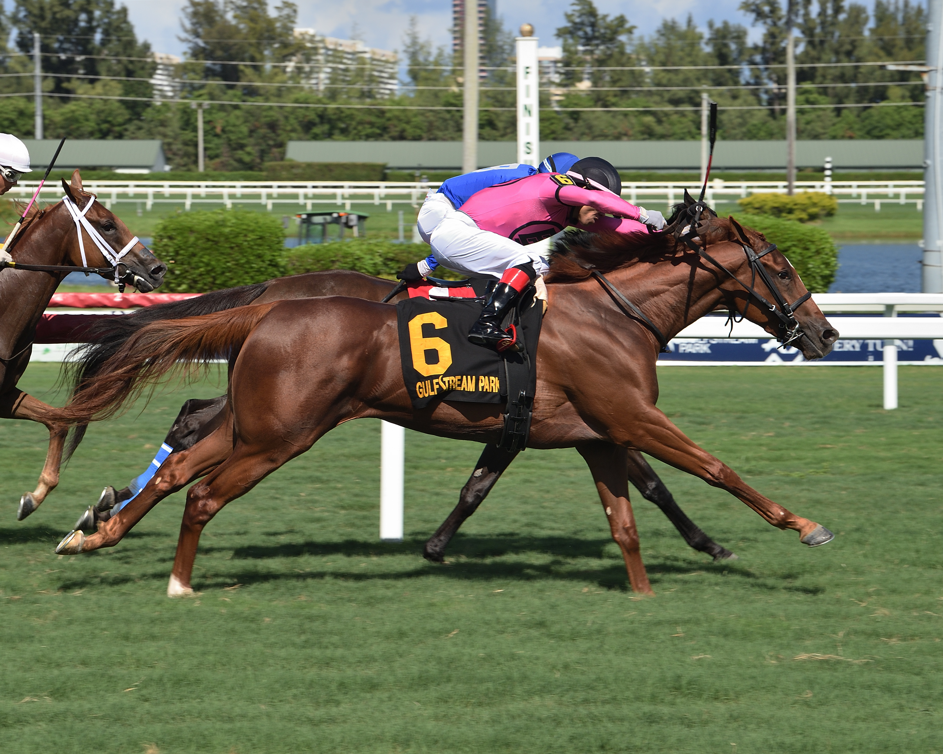 Lucky Polly wins the Martha Washington 8-8-2020