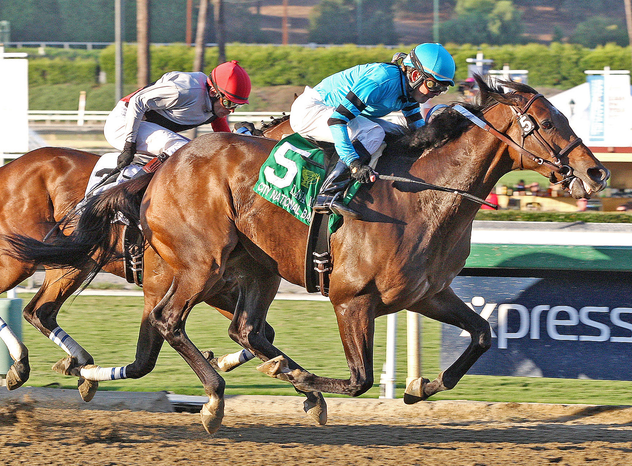 Lucky Primo, Lava Man Cal Cup Classic