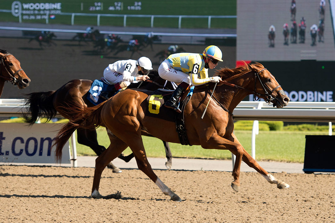 Lucky Curlin wins a June 14 optional claiming race at Woodbine