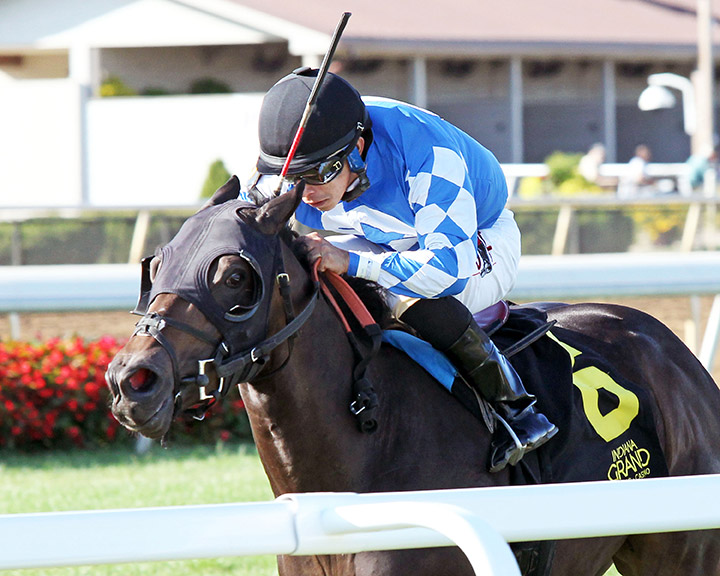 Lucky Fever wins an Oct. 18 maiden race at Indiana Grand