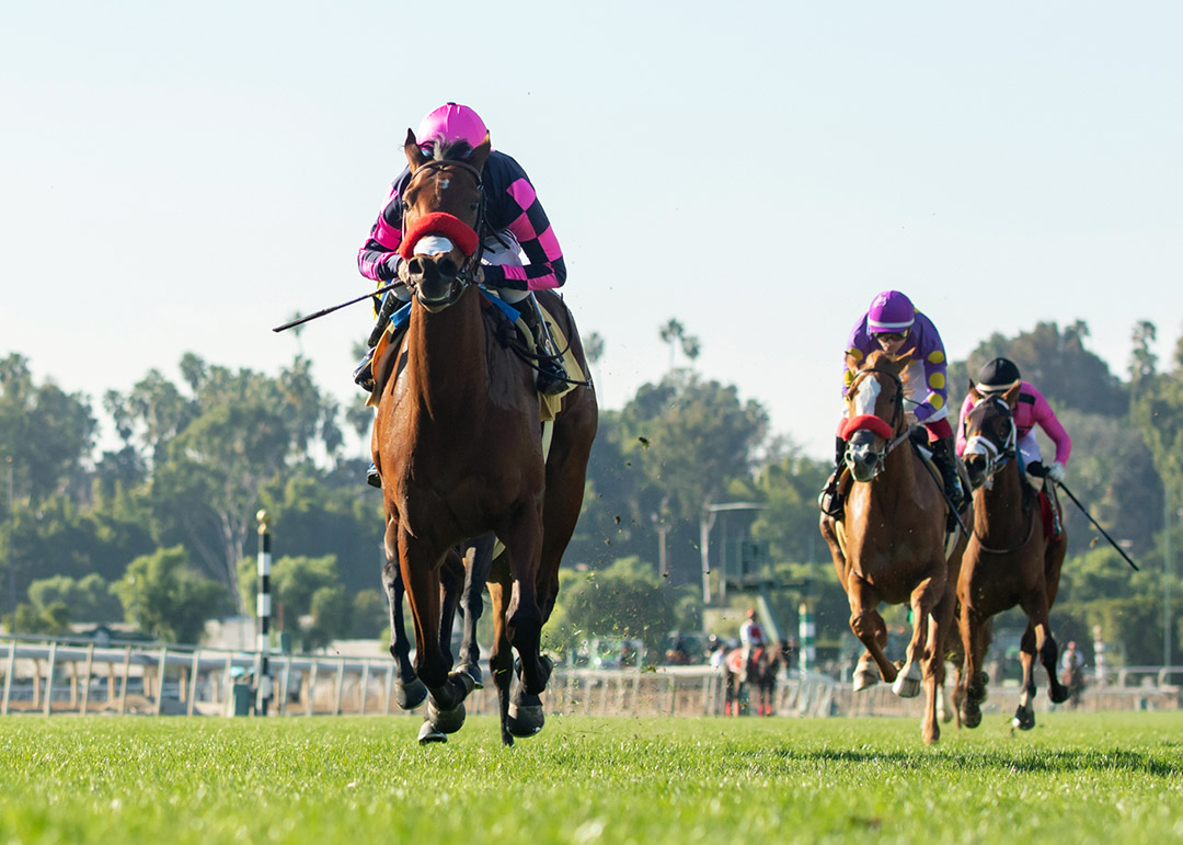 Lucky Girl wins the Lady of Shamrock Stakes at Santa Anita Park