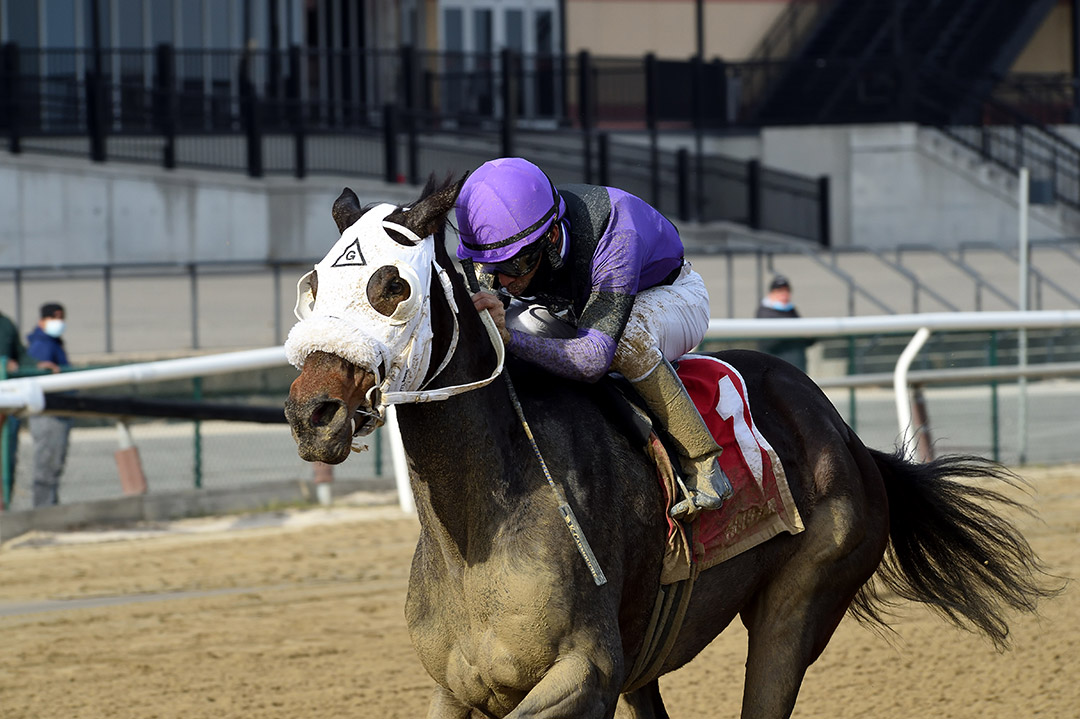 Lucky Move wins the 2020 Bay Ridge Stakes at Aqueduct Racetrack
