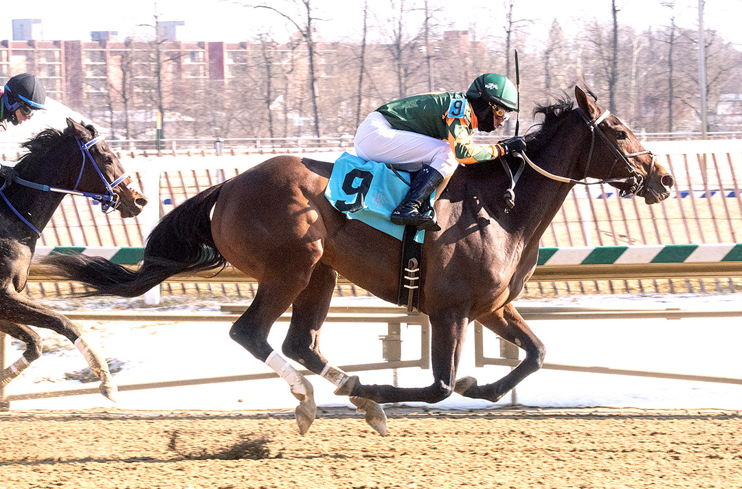 Lucky Stride wins the 2021 Nellie Morse Stakes at Laurel Park