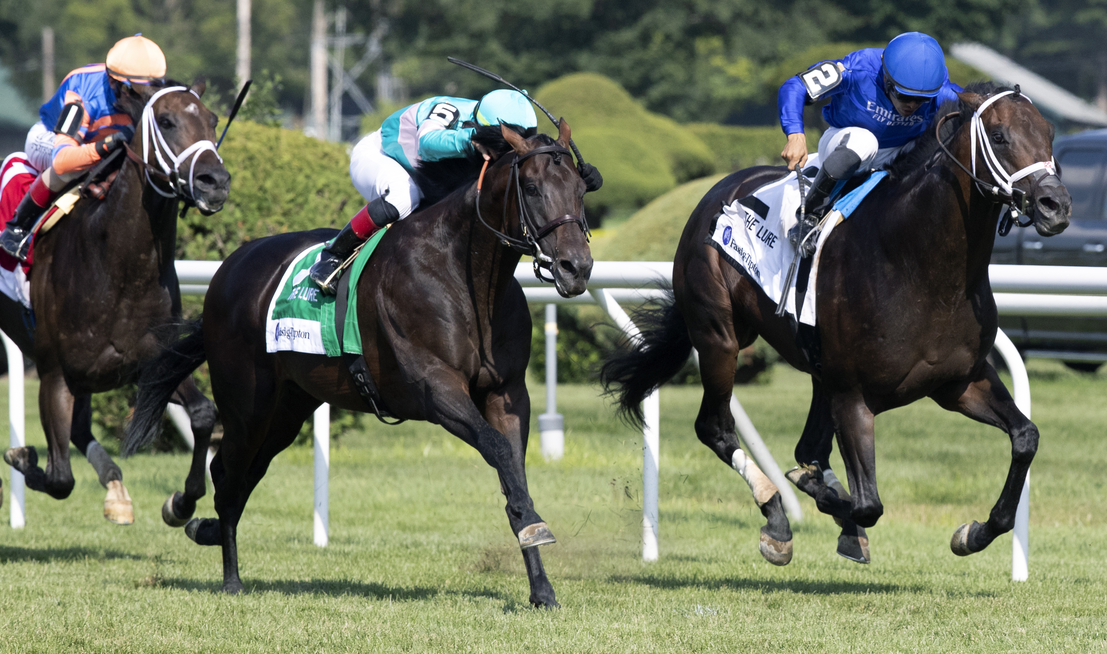Lucullan (right) holds off Sacred Heart to win the Lure Stakes at Saratoga on Aug. 3, 2019