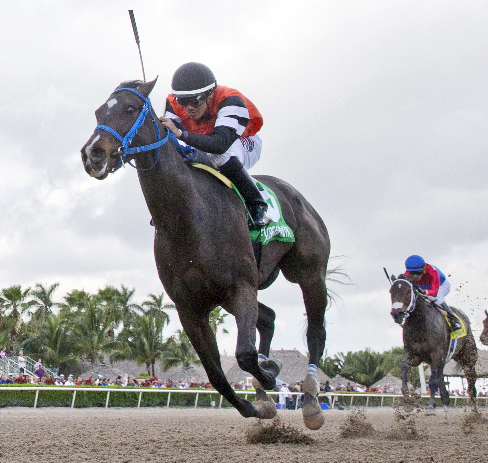Lucy N Ethel wins the Old Hat Stakes