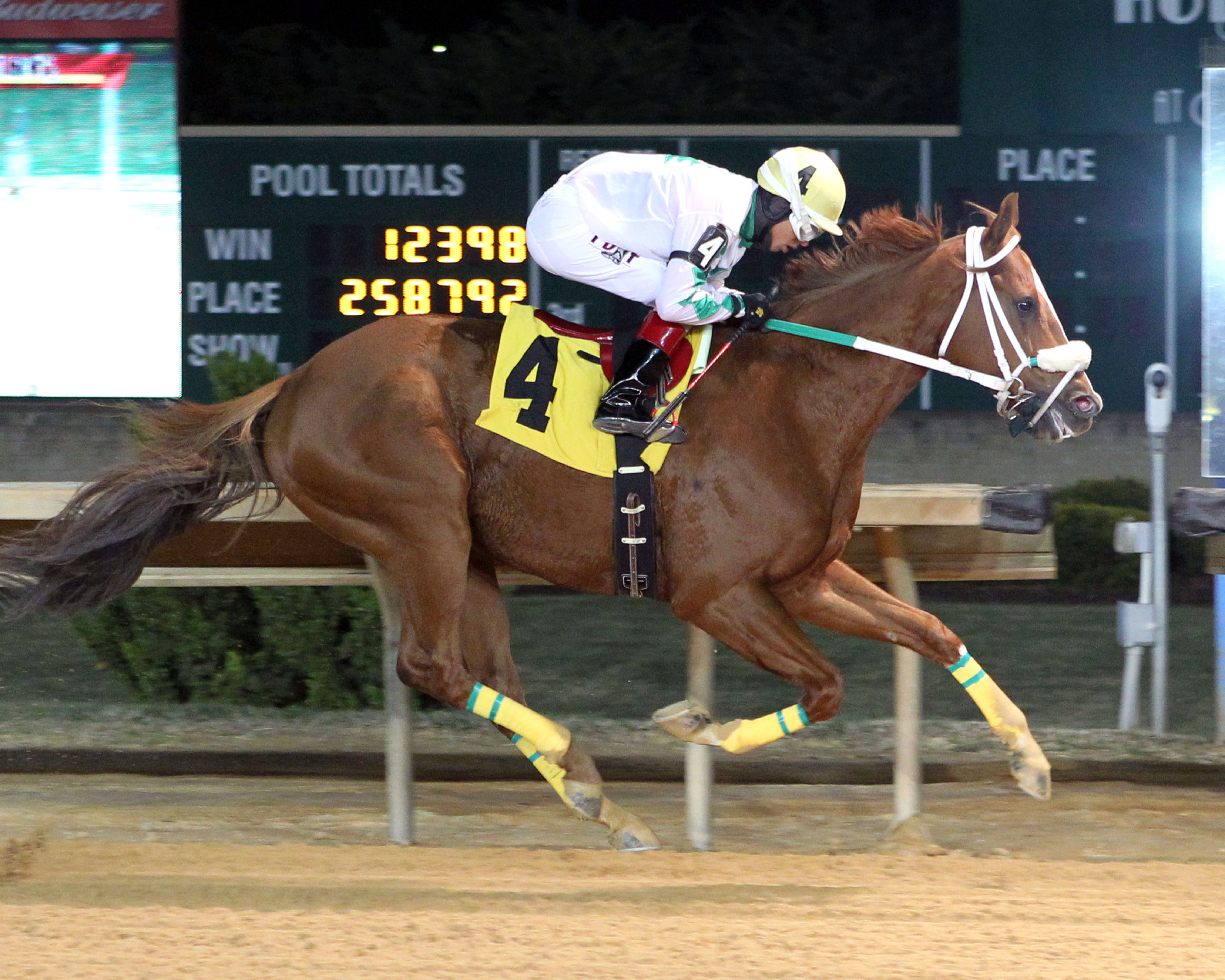 Lucy's Bob Boy wins the A Huevo Stakes