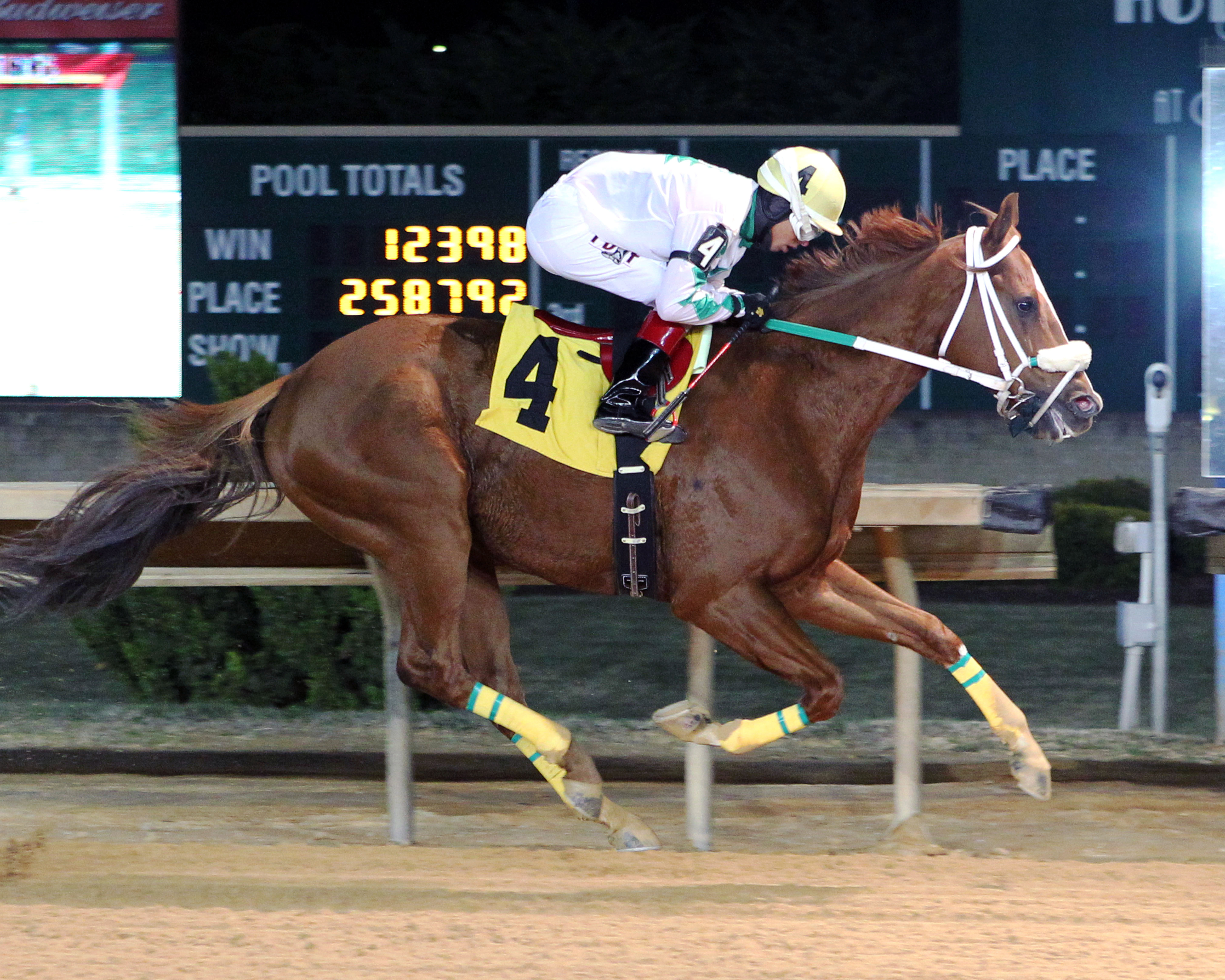 Lucy's Bob Boy wins the A Huevo Stakes