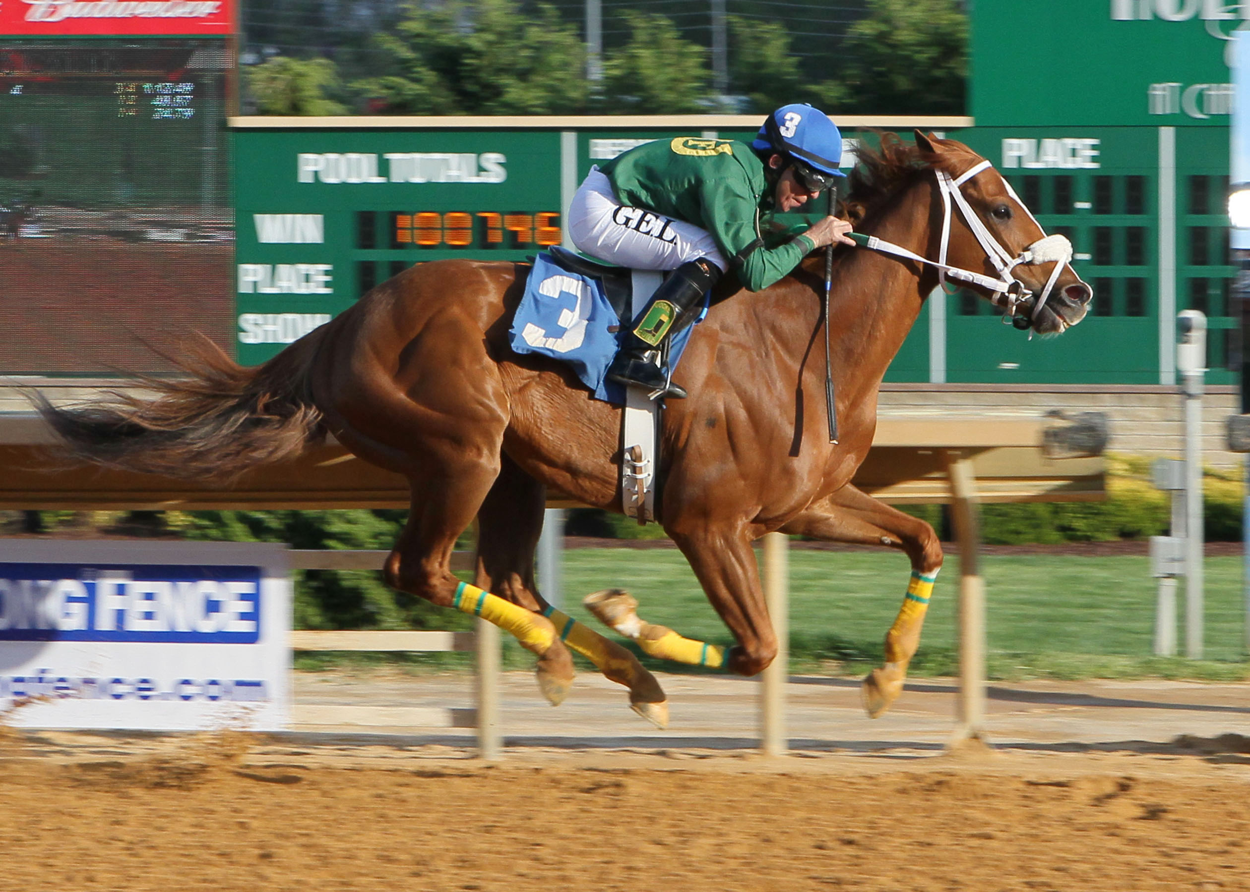 Lucy's Bob Boy, Confucius Say Stakes