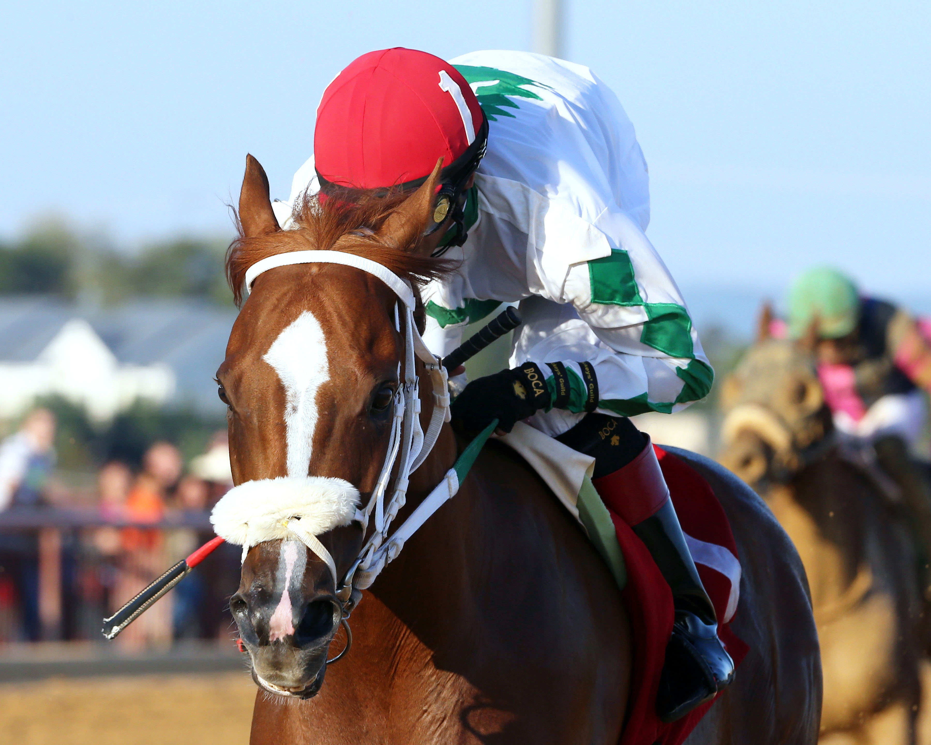 Lucy's Bob Boy wins the Roger Ramey Handicap