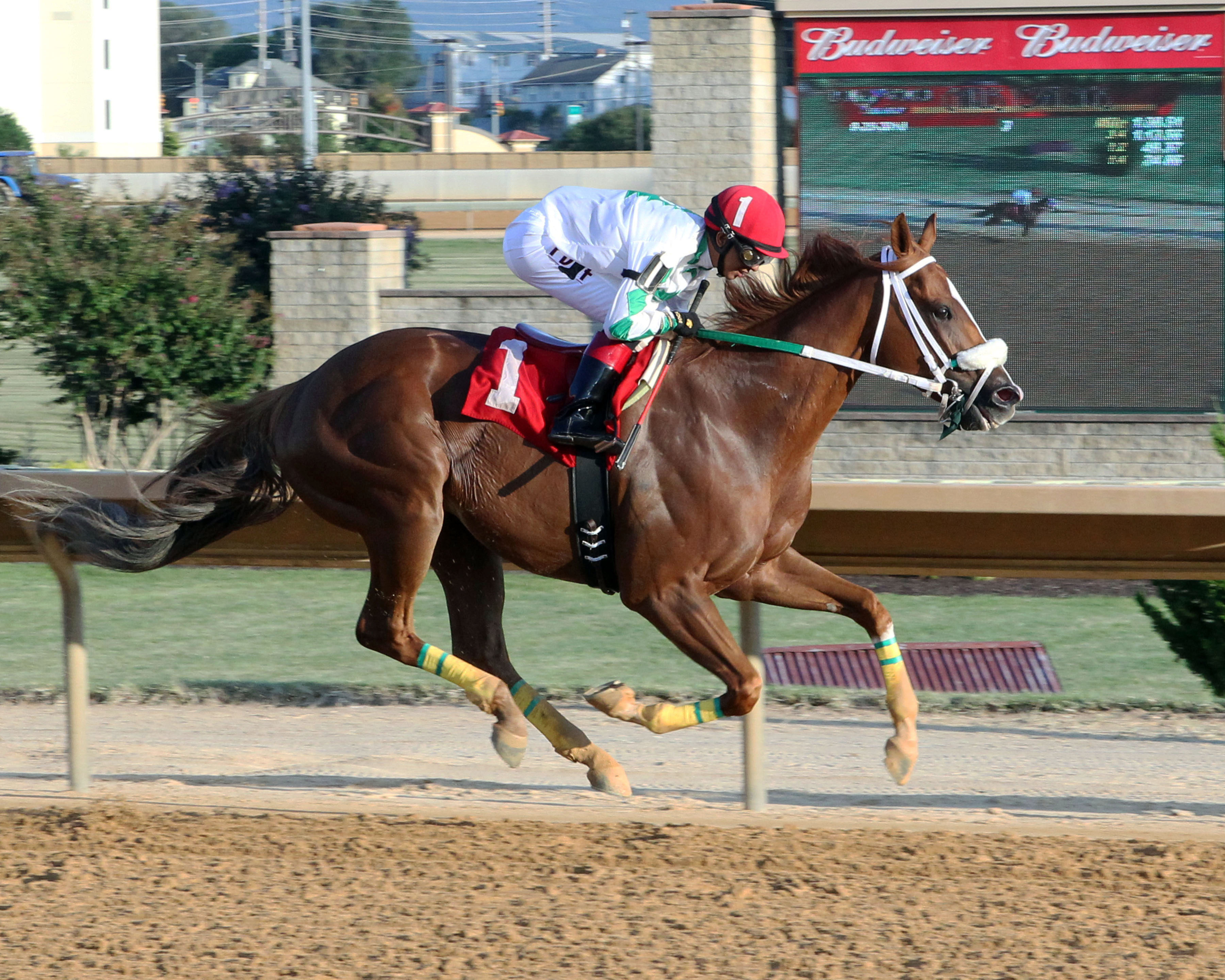 Lucy's Bob Boy wins the Roger Ramey Handicap