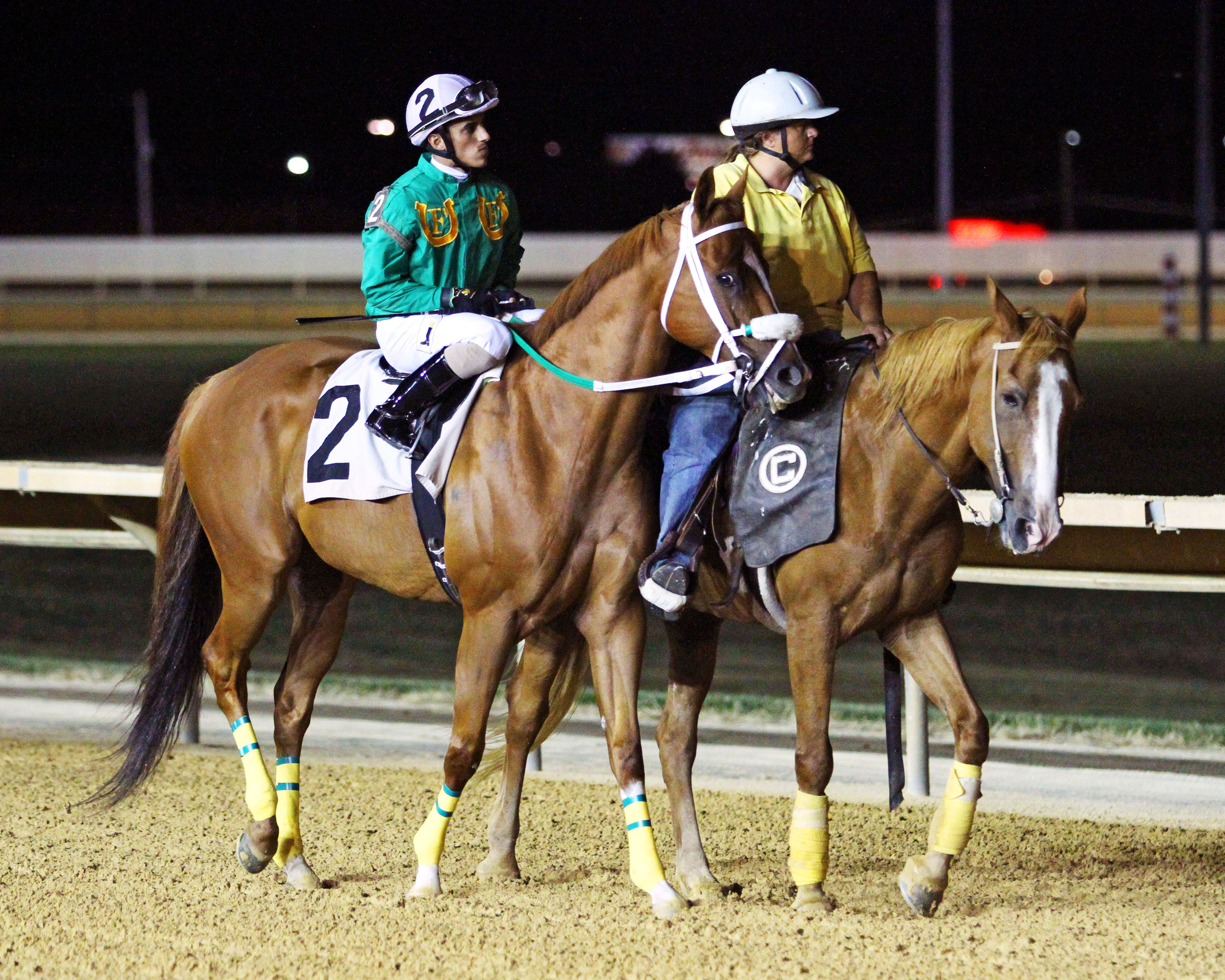 Lucy's Bob Boy at Charles Town for the Frank Gall