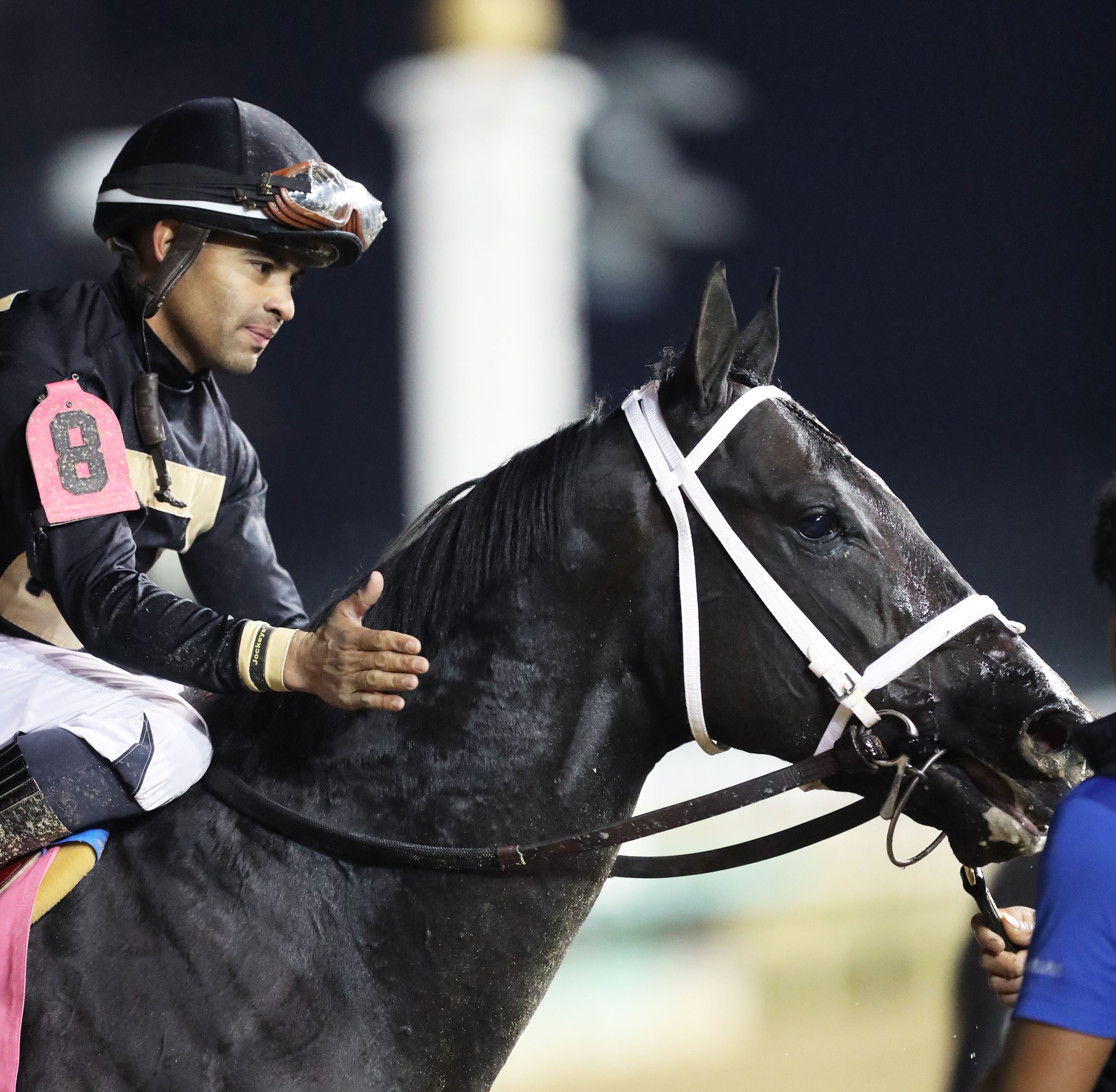 Luis Saez aboard Instant Coffee after winning the Kentucky Jockey Club at CD Nov 26 2022