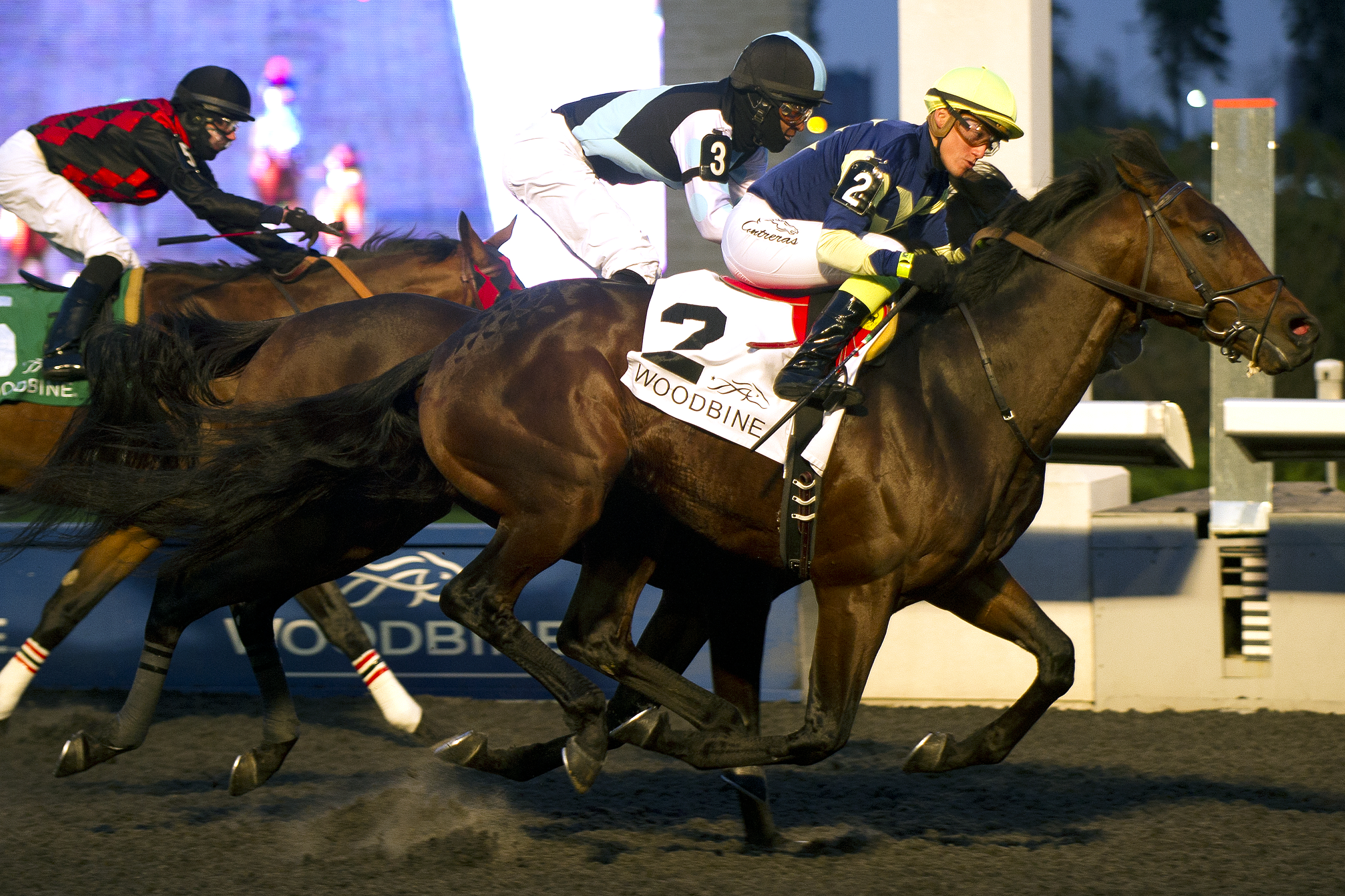 Lukes Alley wins the Autumn Stakes