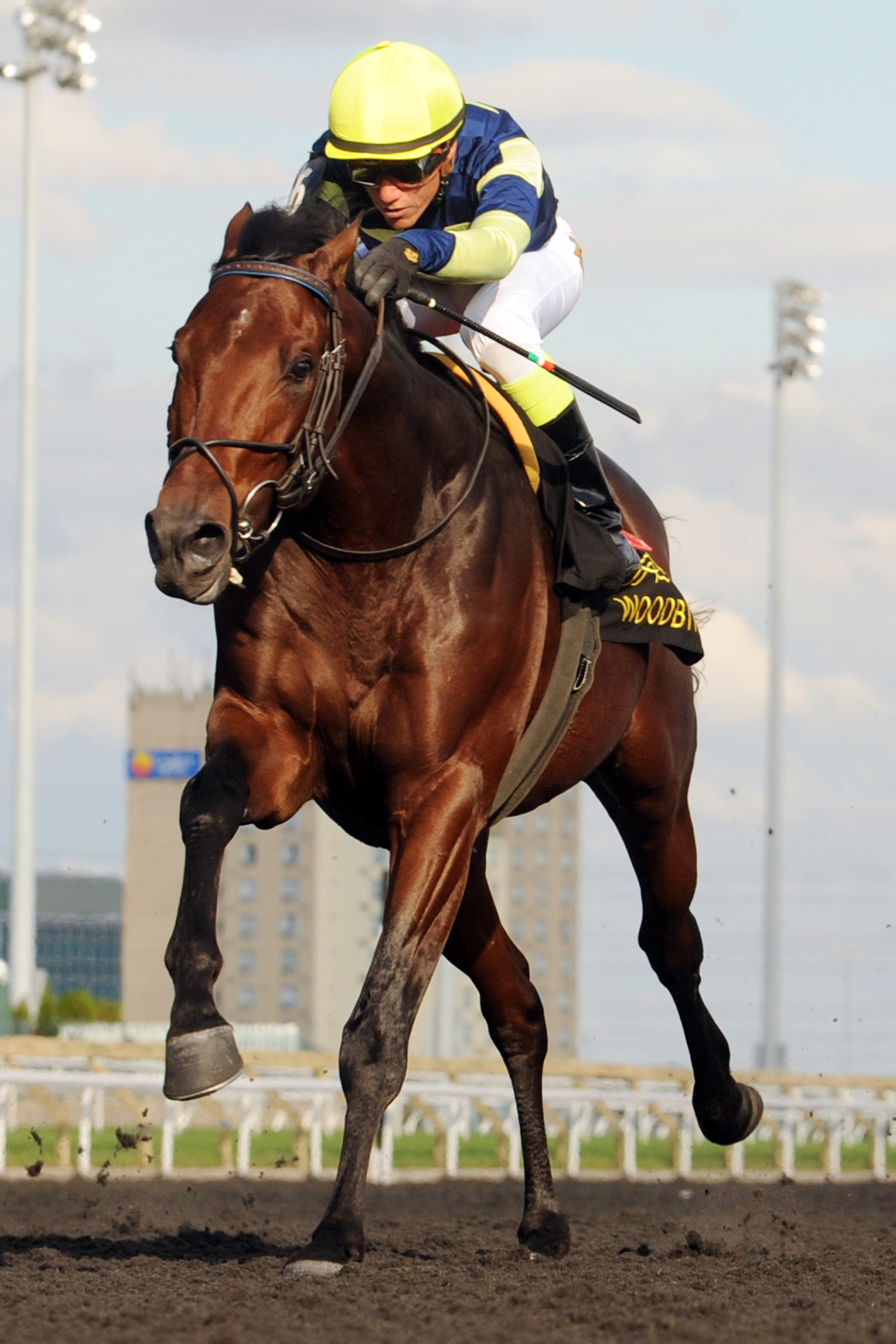 Lukes Alley wins the Durham Cup