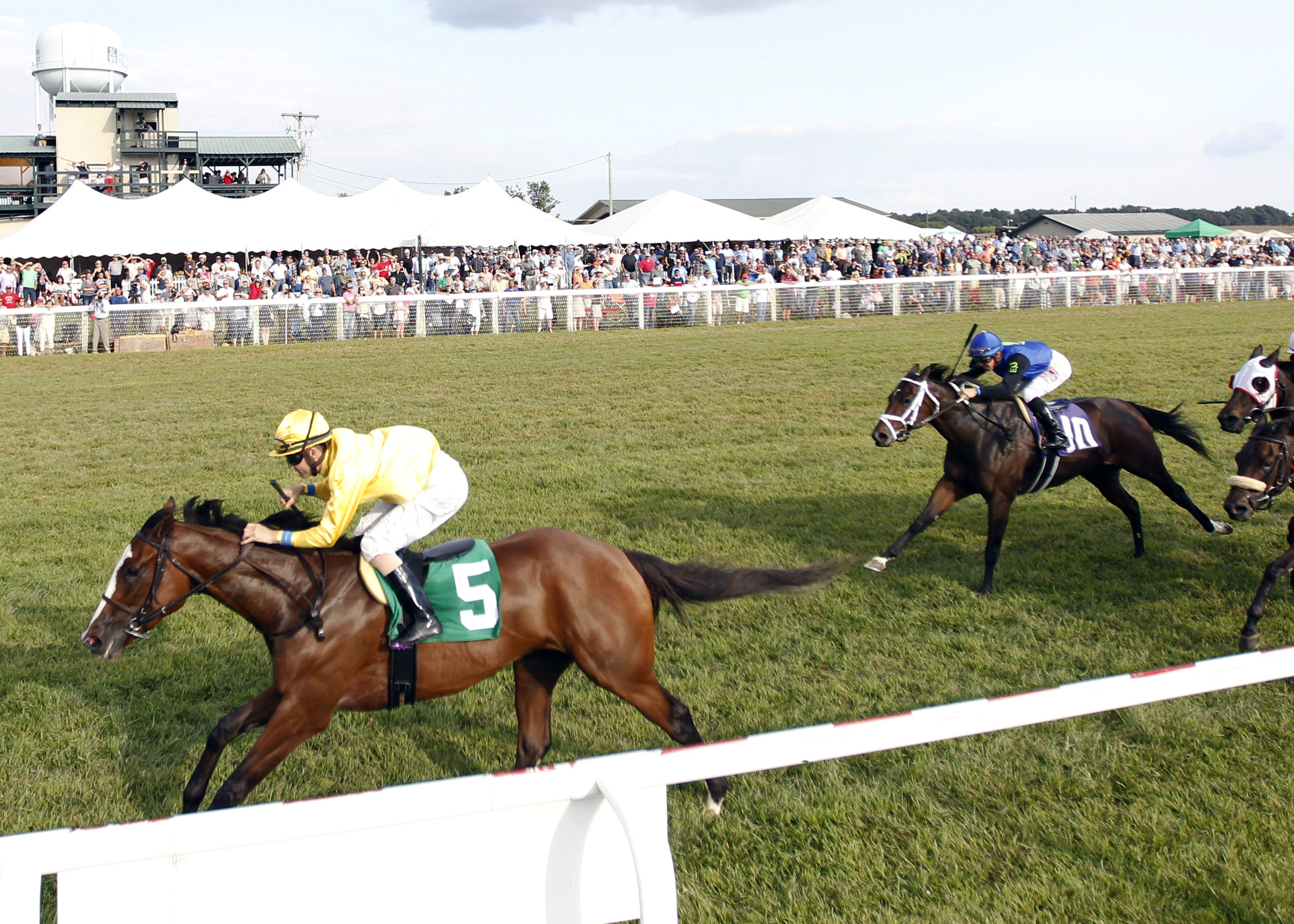 Lull wins the 2017 Kentucky Downs Ladies Sprint Stakes