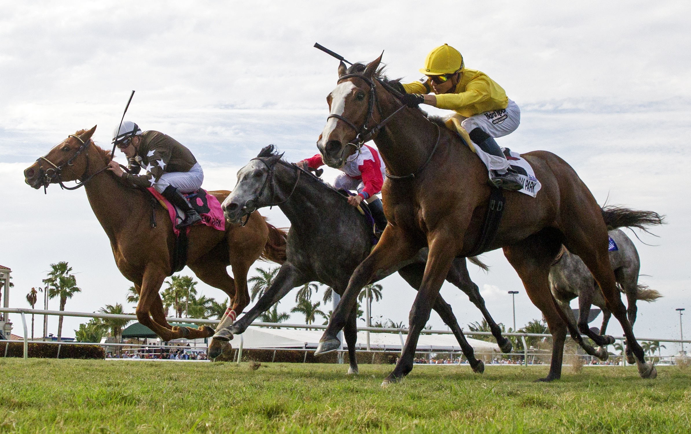 Lull wins the 2018 Honey Fox Stakes