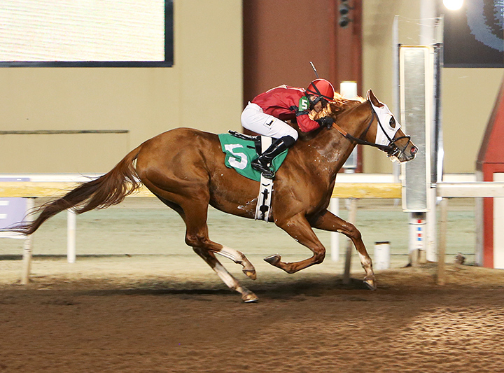 Lullaby Bling wins a Nov. 25 allowance race at Remington Park