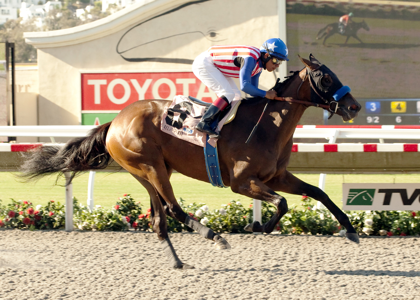 Luminance wins a maiden race