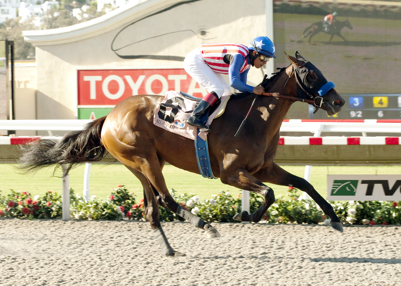 Luminance wins a maiden race