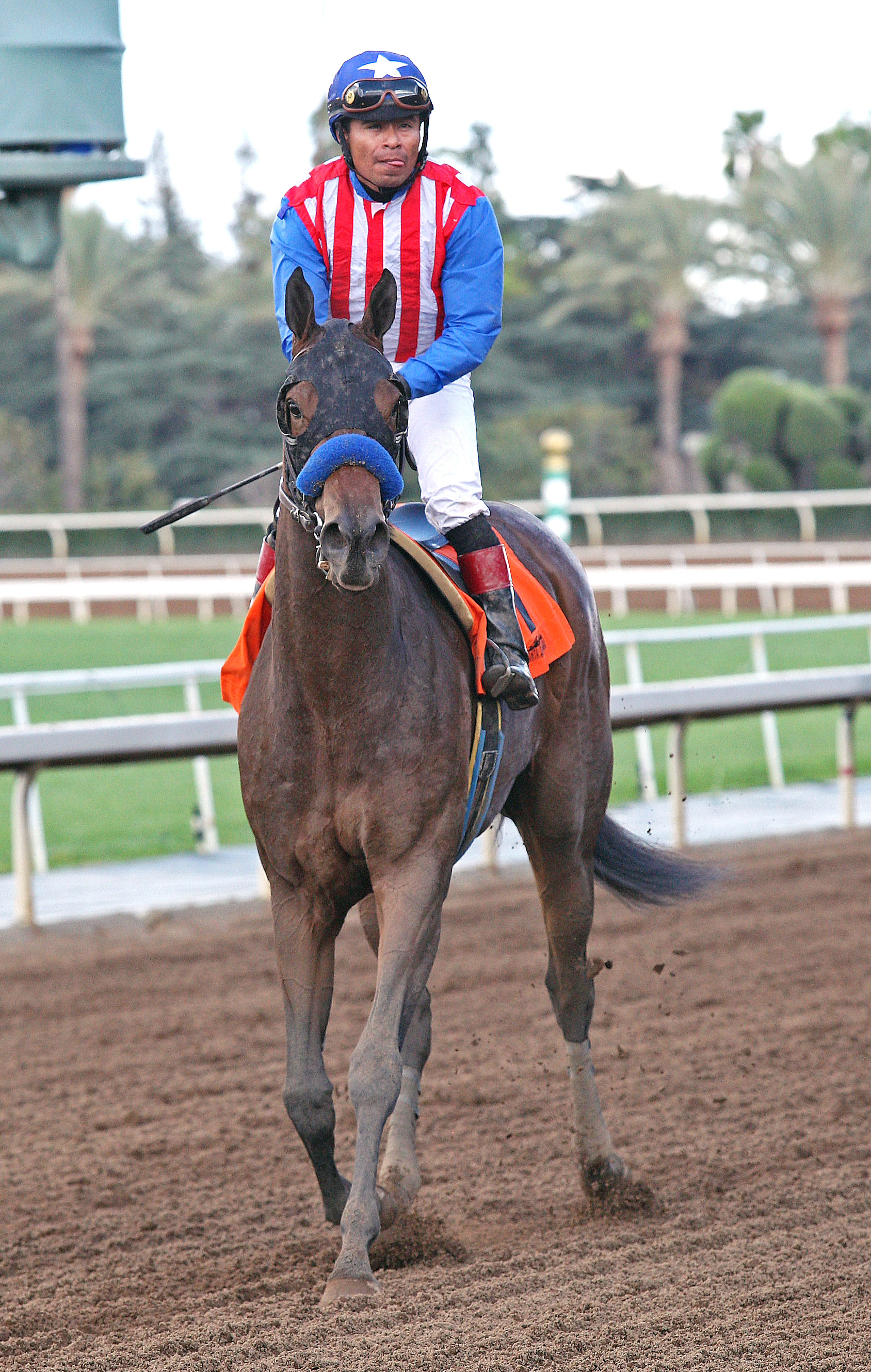 Luminance after an allowance race at Santa Anita