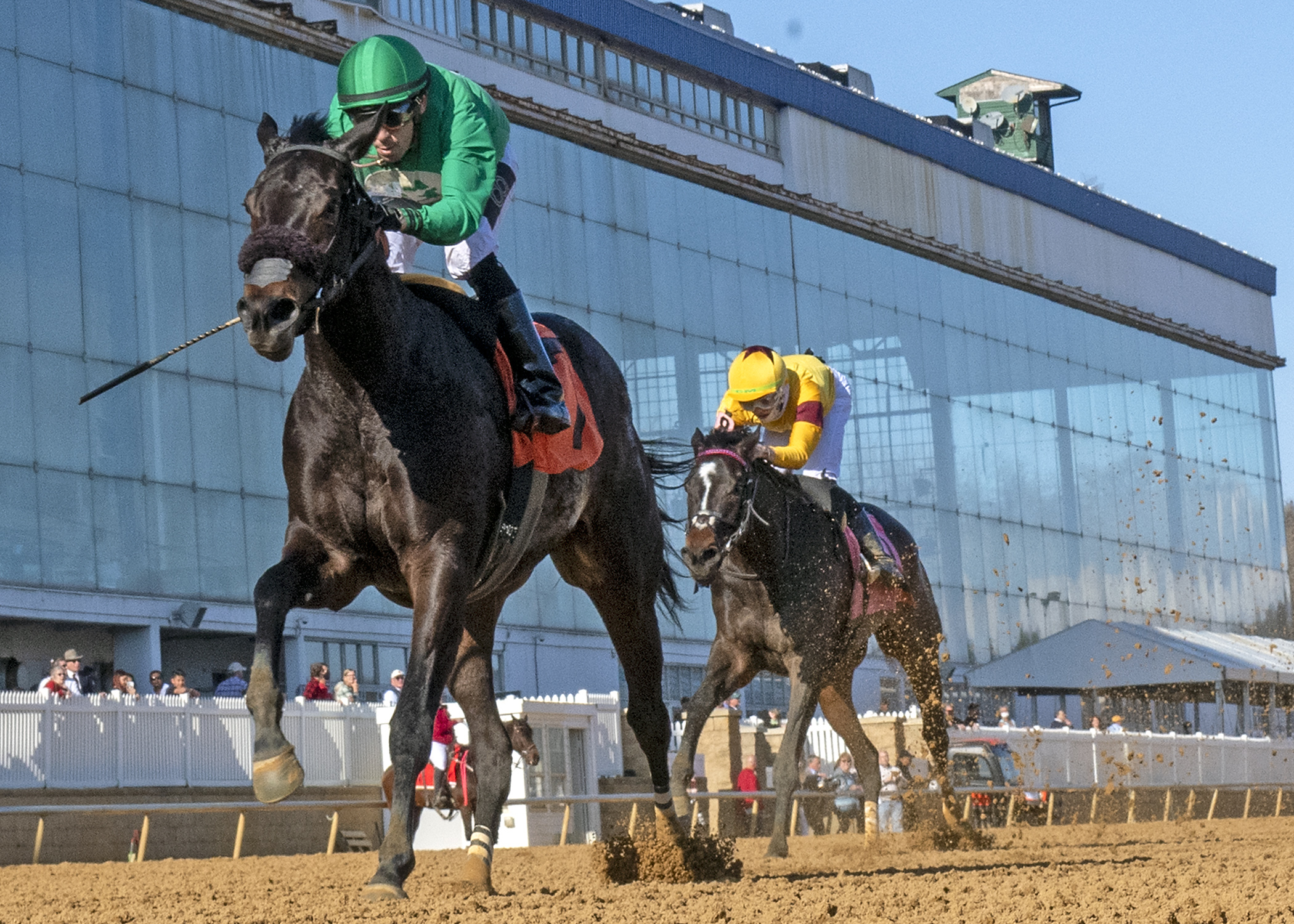 Luna Belle wins the Beyond the Wire Stakes.03.19.2022