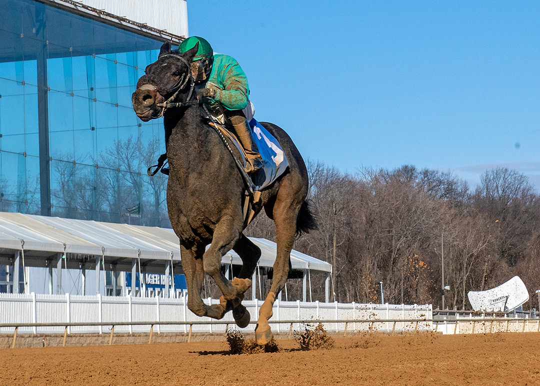 Luna Belle wins the 2022 Xtra Heat Stakes at Laurel Park